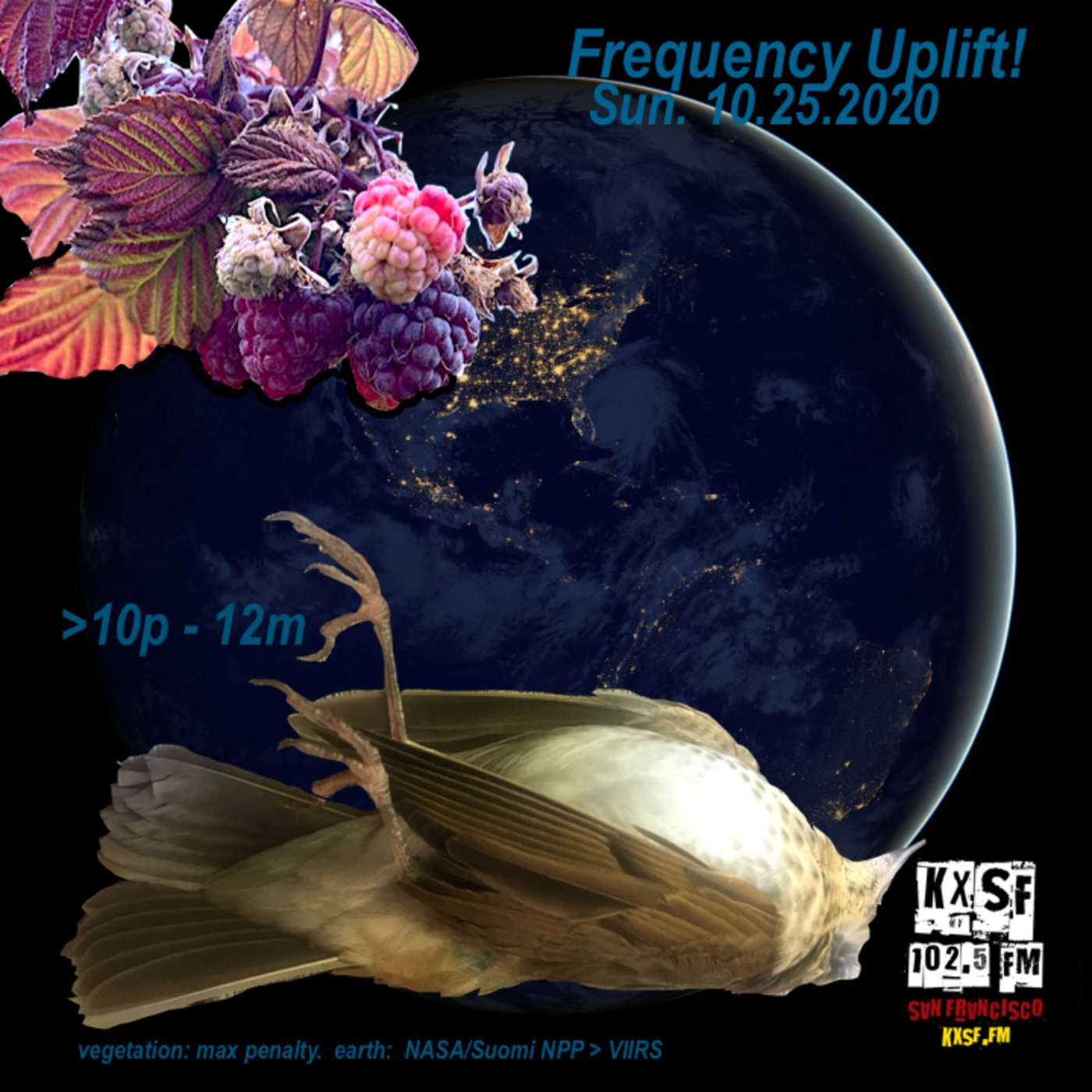 FREQUENCY UPLIFT !  SUN. 10.25.2020 …  fall colors, change in the air ! episode artwork