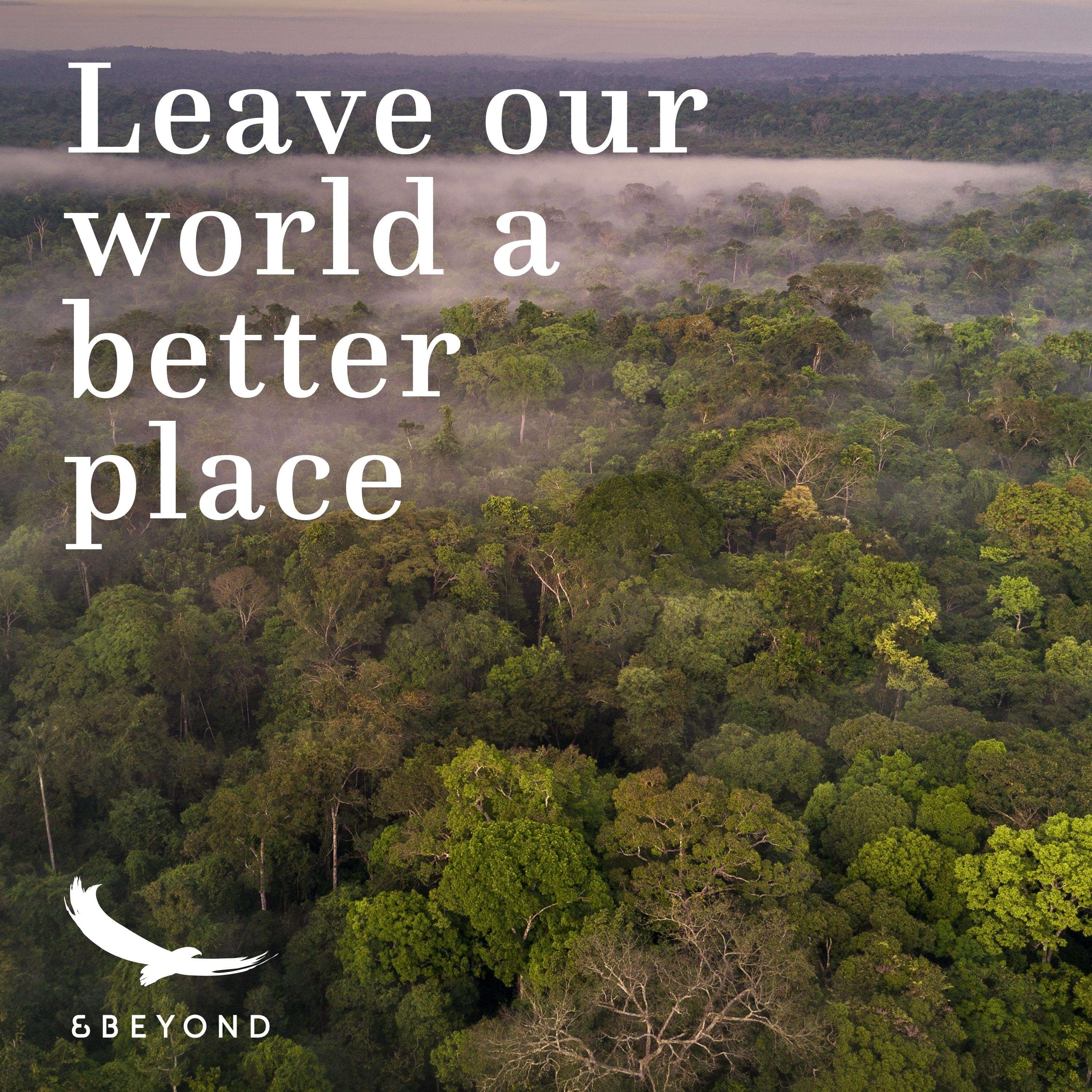 Better World