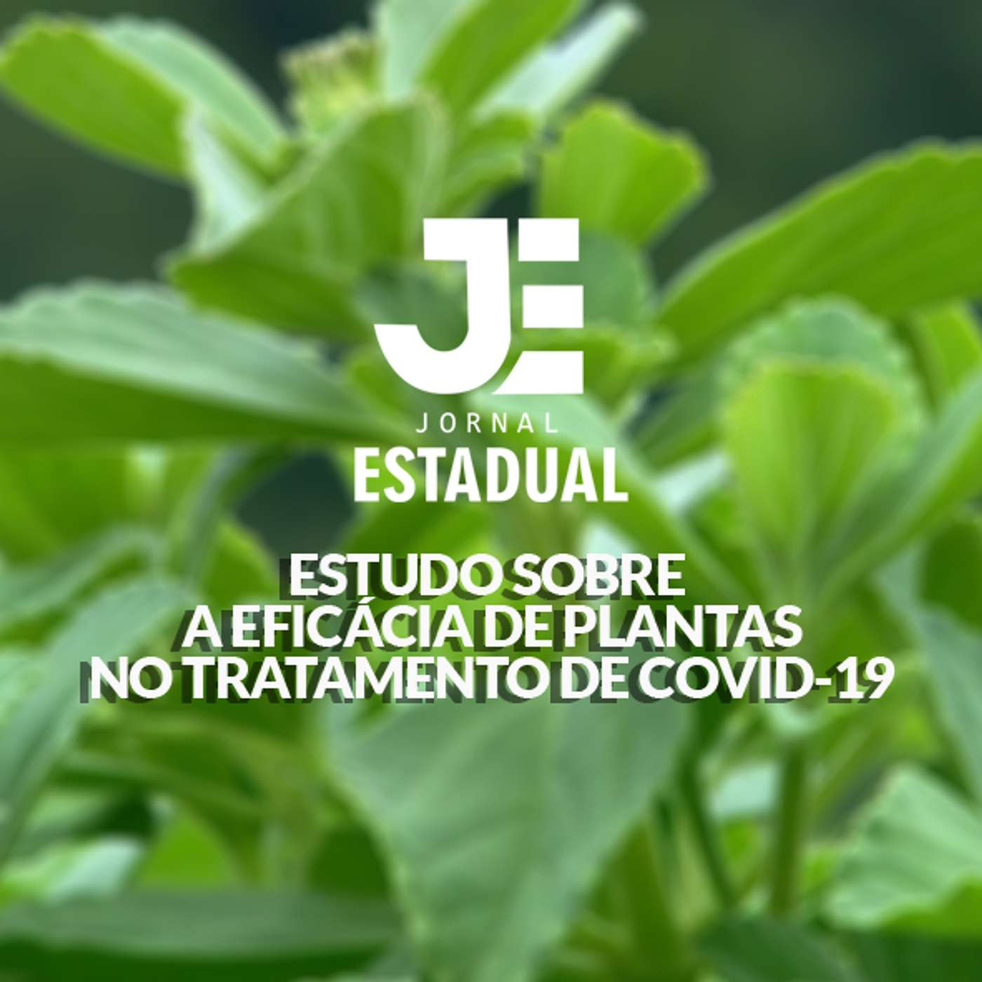 Matéria - Estudo sobre a eficácia de plantas no tratamento de COVID-19 episode artwork