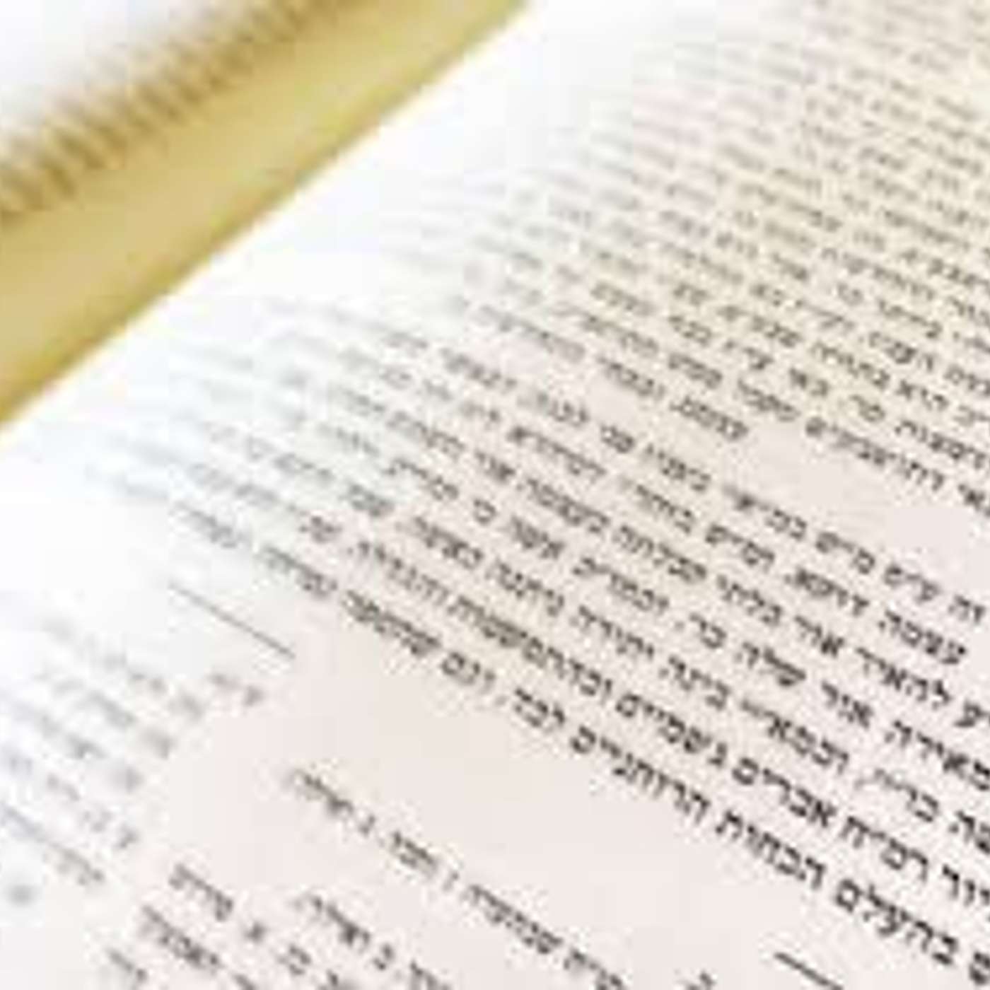 Rabbi Wagners Chassidus Class