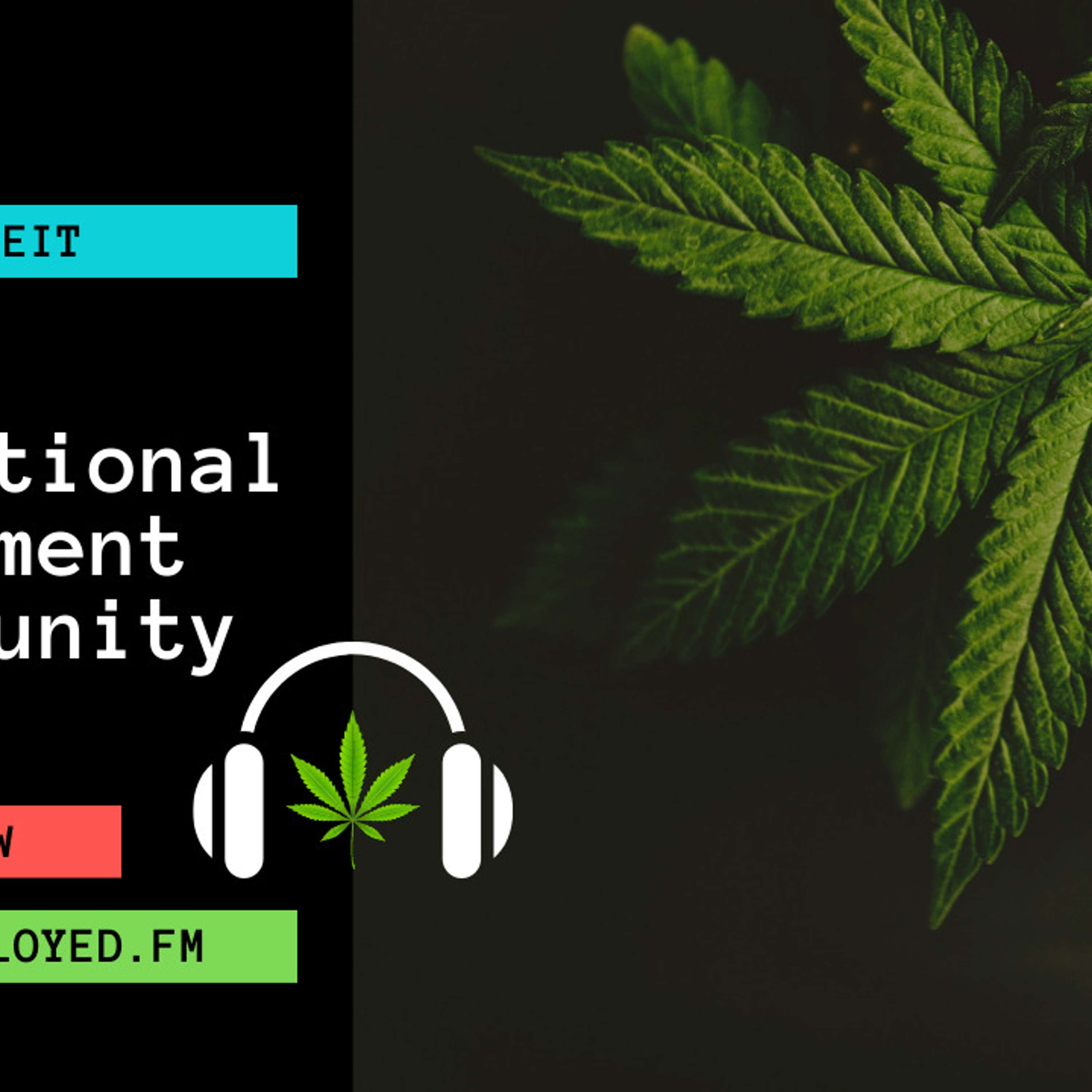 A Generational Investment Opportunity with Aaron Edelheit