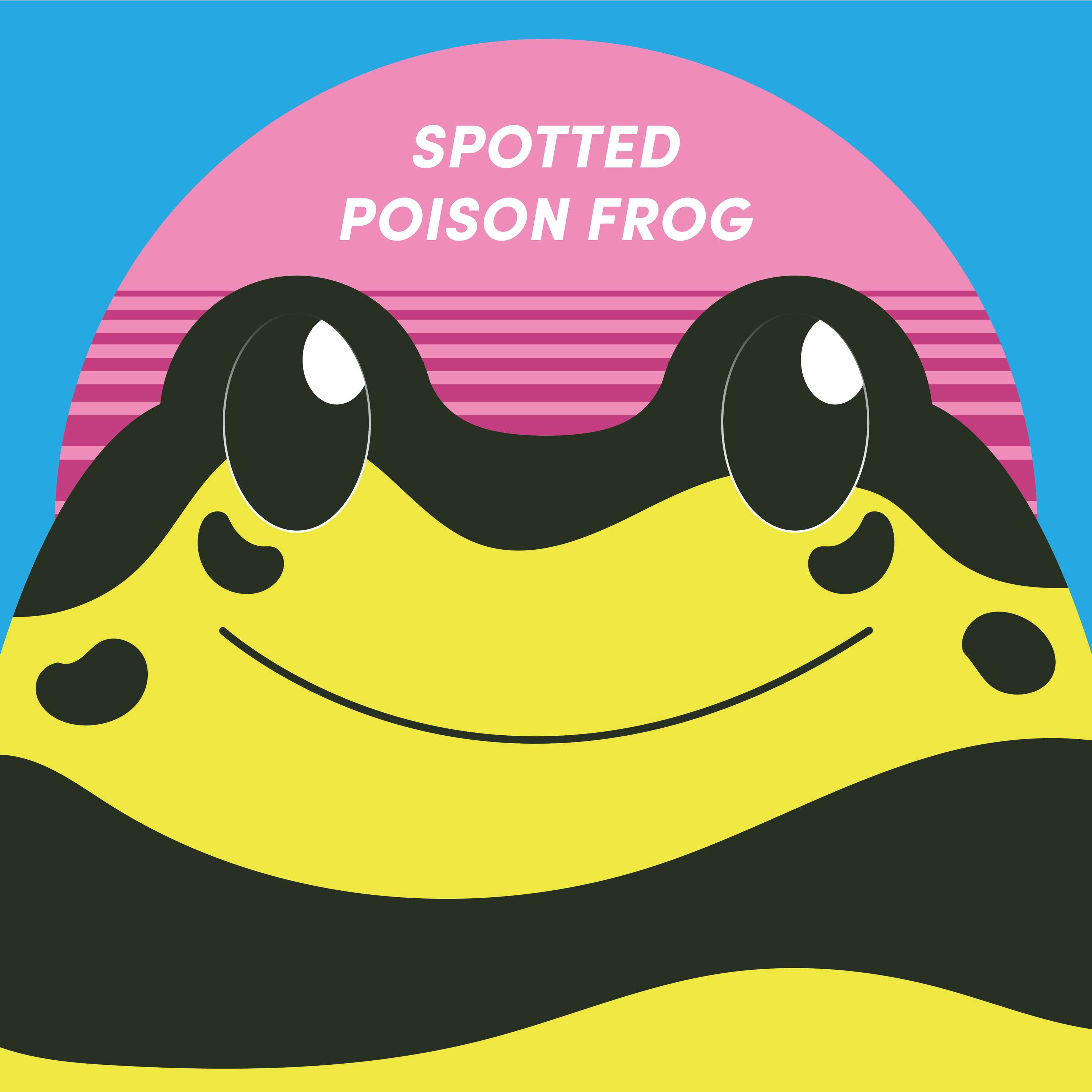 Spotted Poison Frog | Week of Dartch 27th