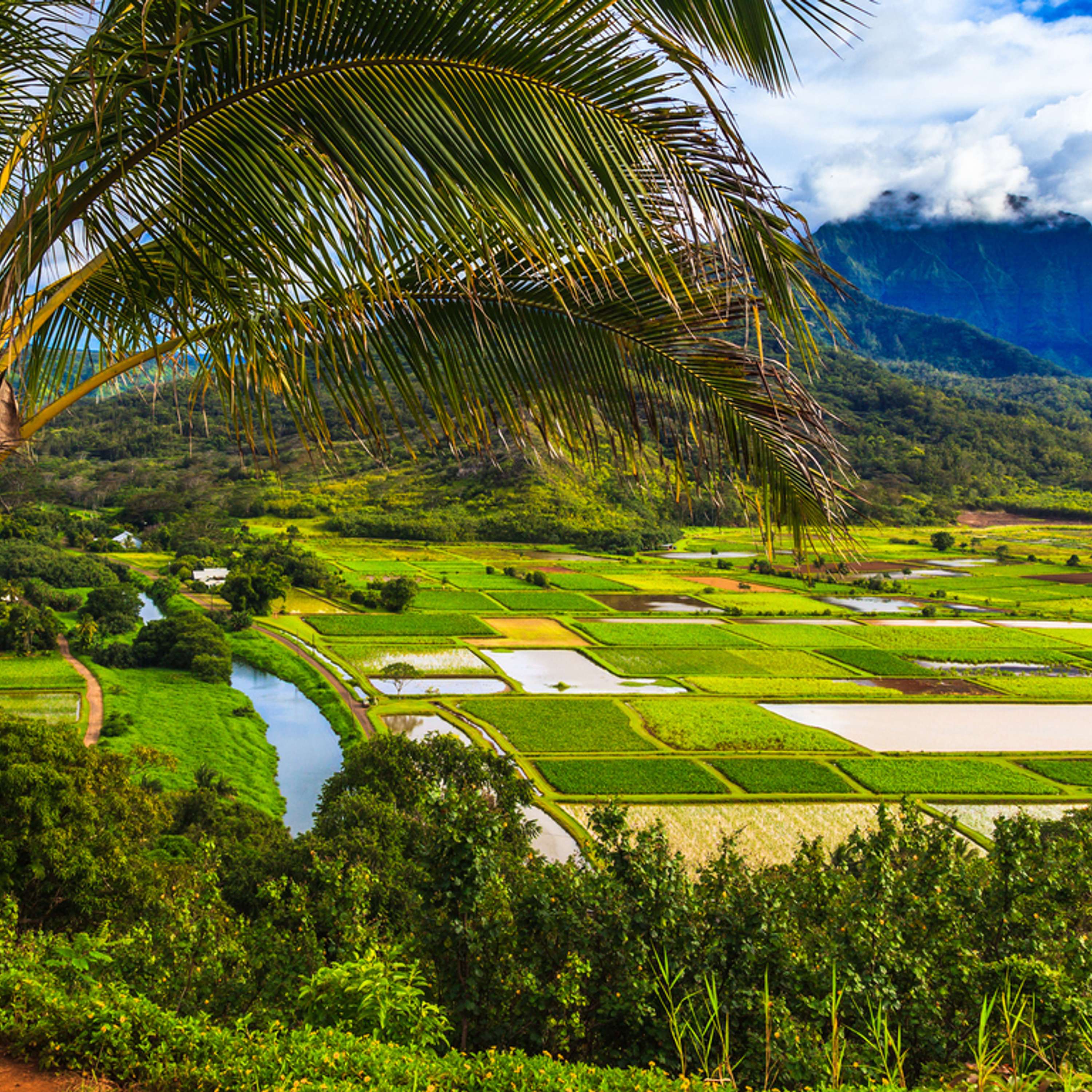 65 | Kauai for Families: Everything You Need to Know About Hawaii’s ”Garden Isle”