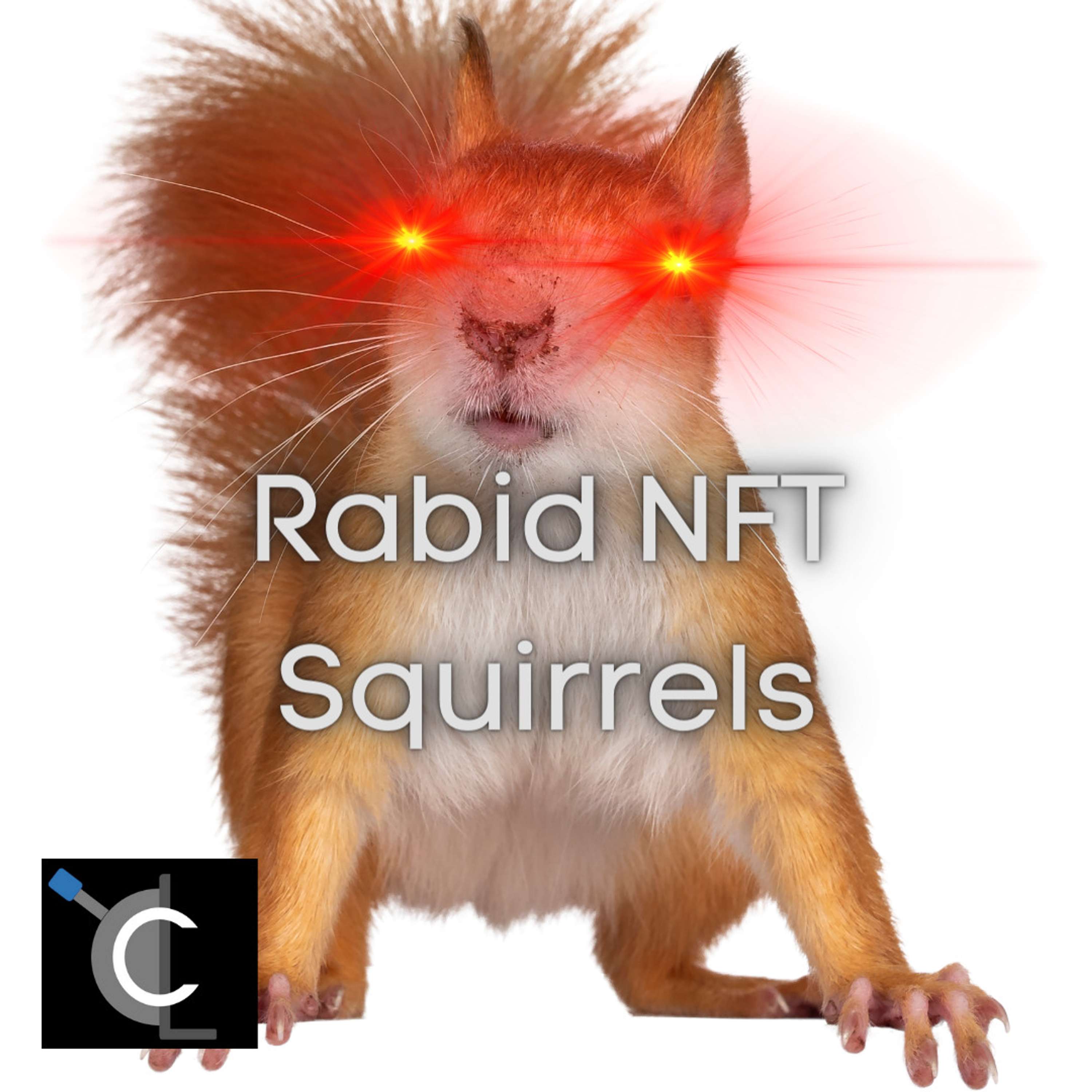 Rabid NFT Squirrels
          
          
            
              [4]