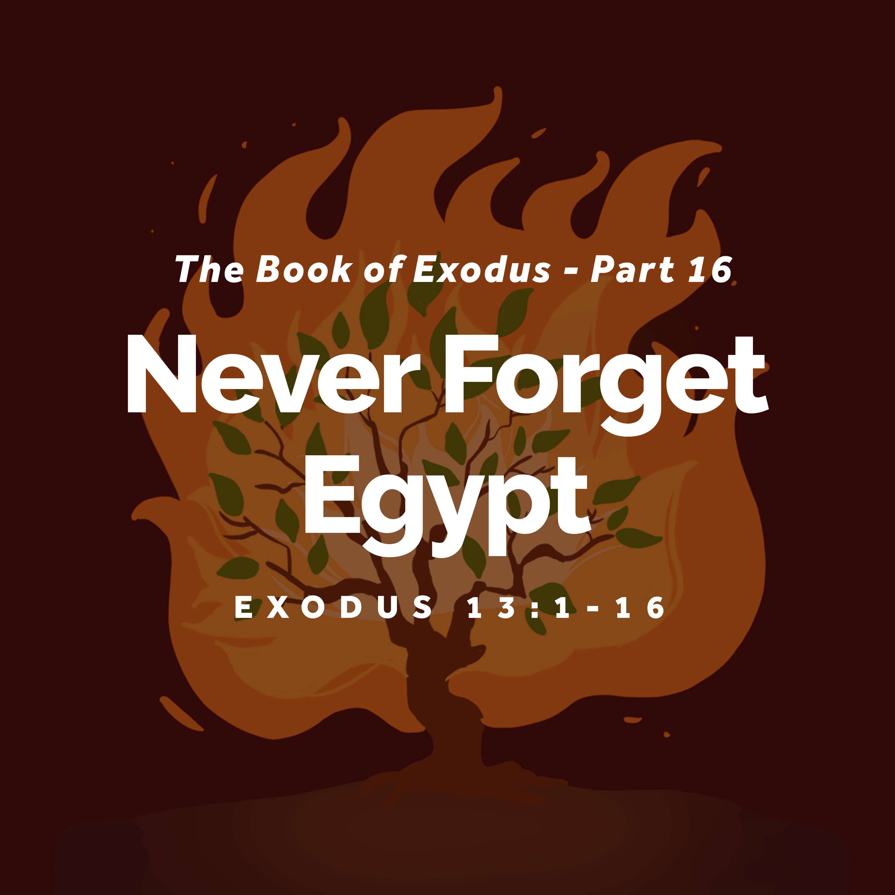 GCF NAGA English Sermons