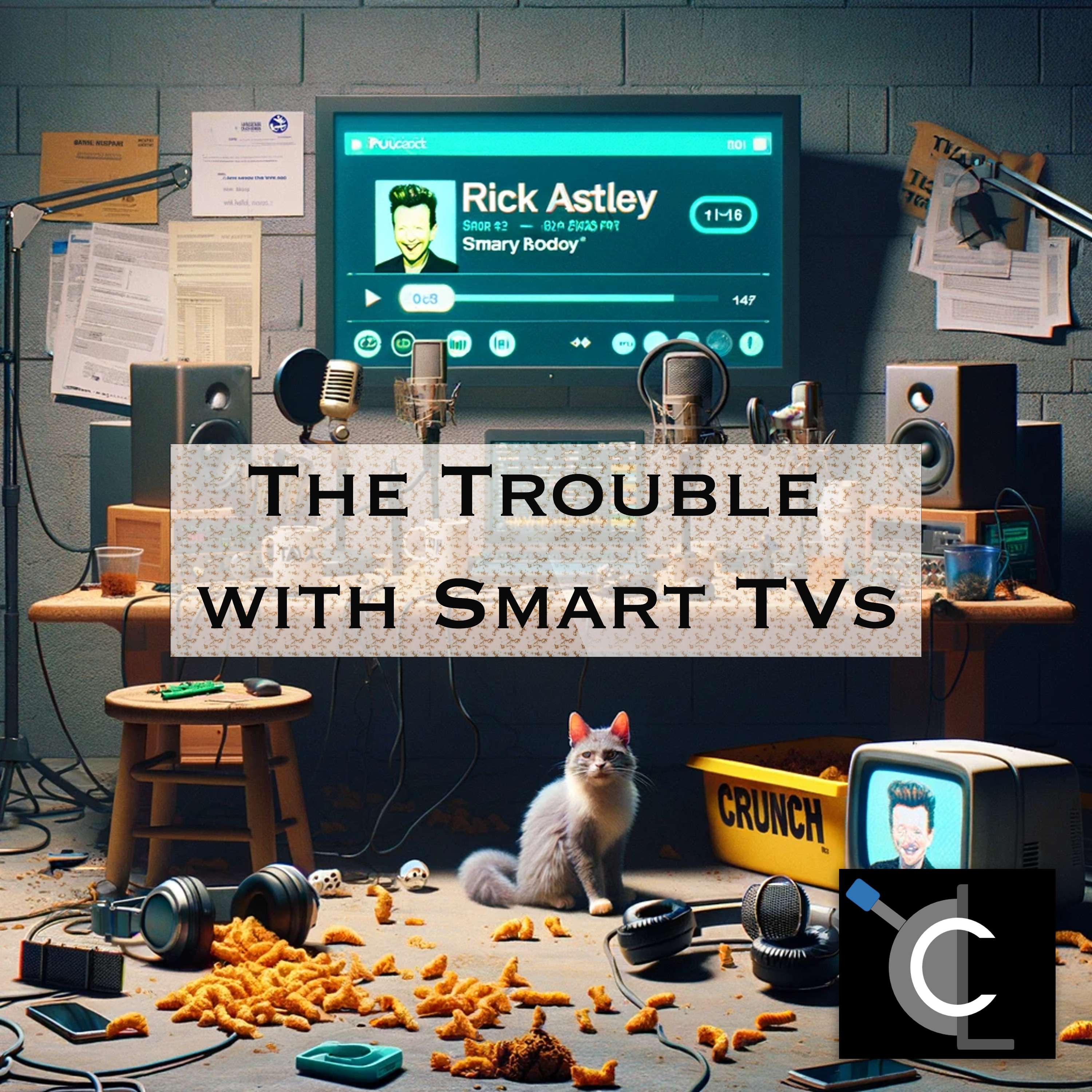 The Trouble with Smart TVs
          
          
            
              [CL85]