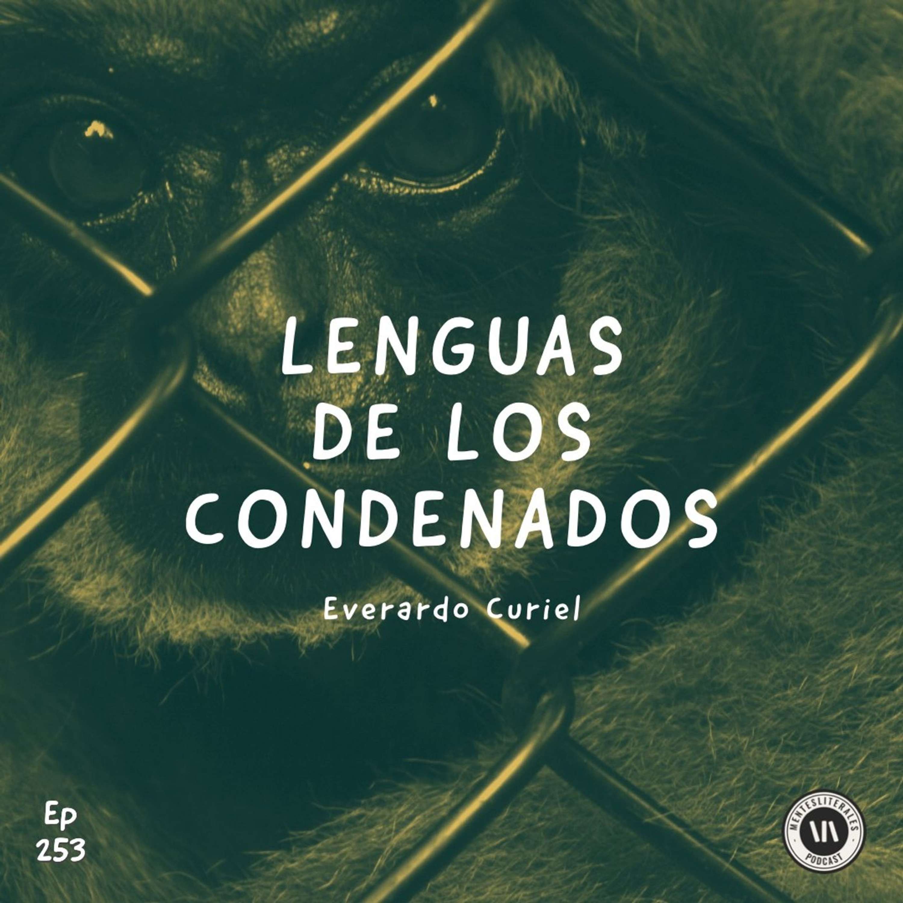 MentesLiterales - Recomendaciones y Reseñas de Libros
