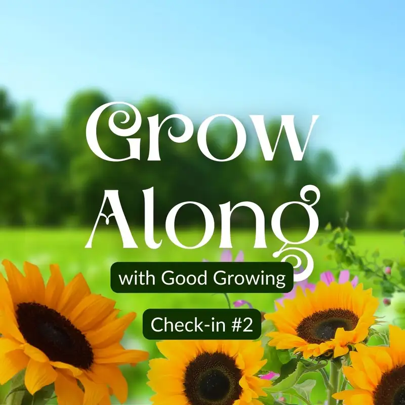 Good Growing Grow Along second check-in