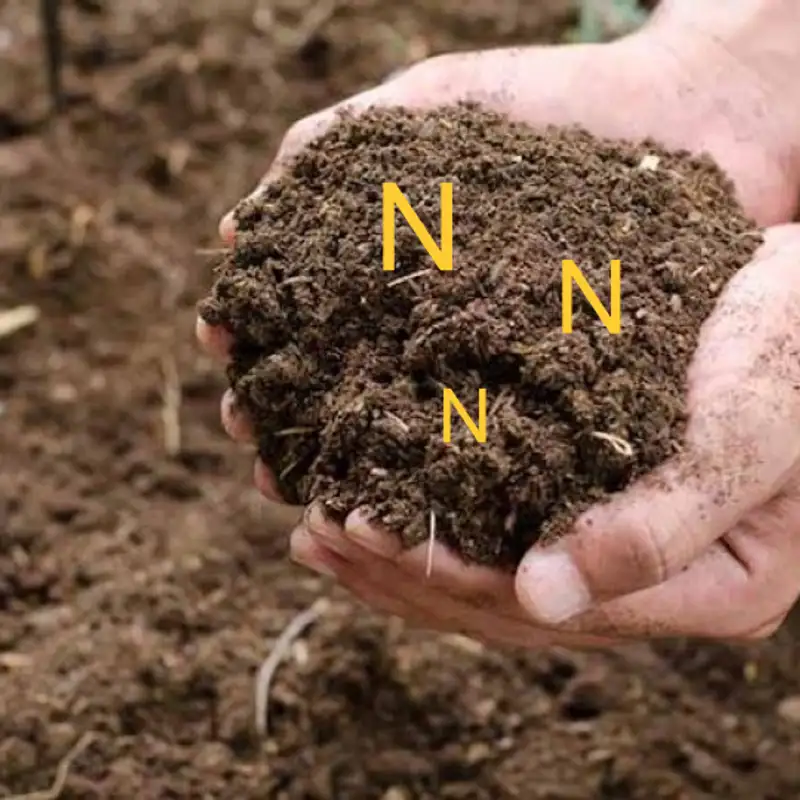 Biostimulants