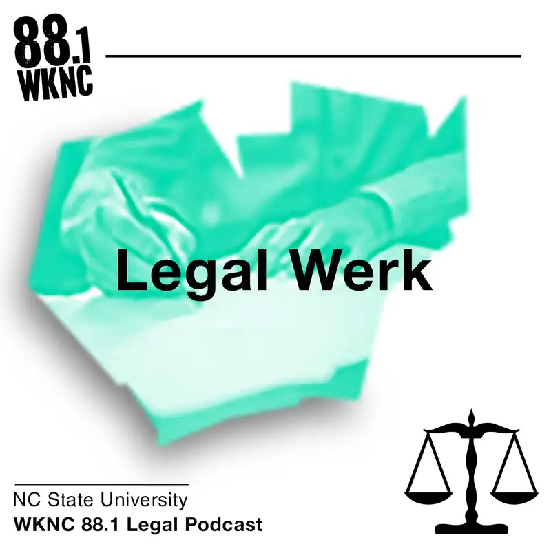 Legal Werk 2: Protesting