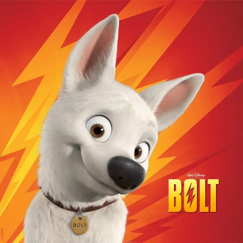 Bolt