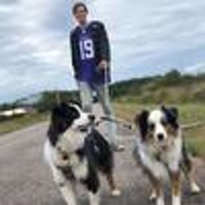 Taylor @chakrachickens