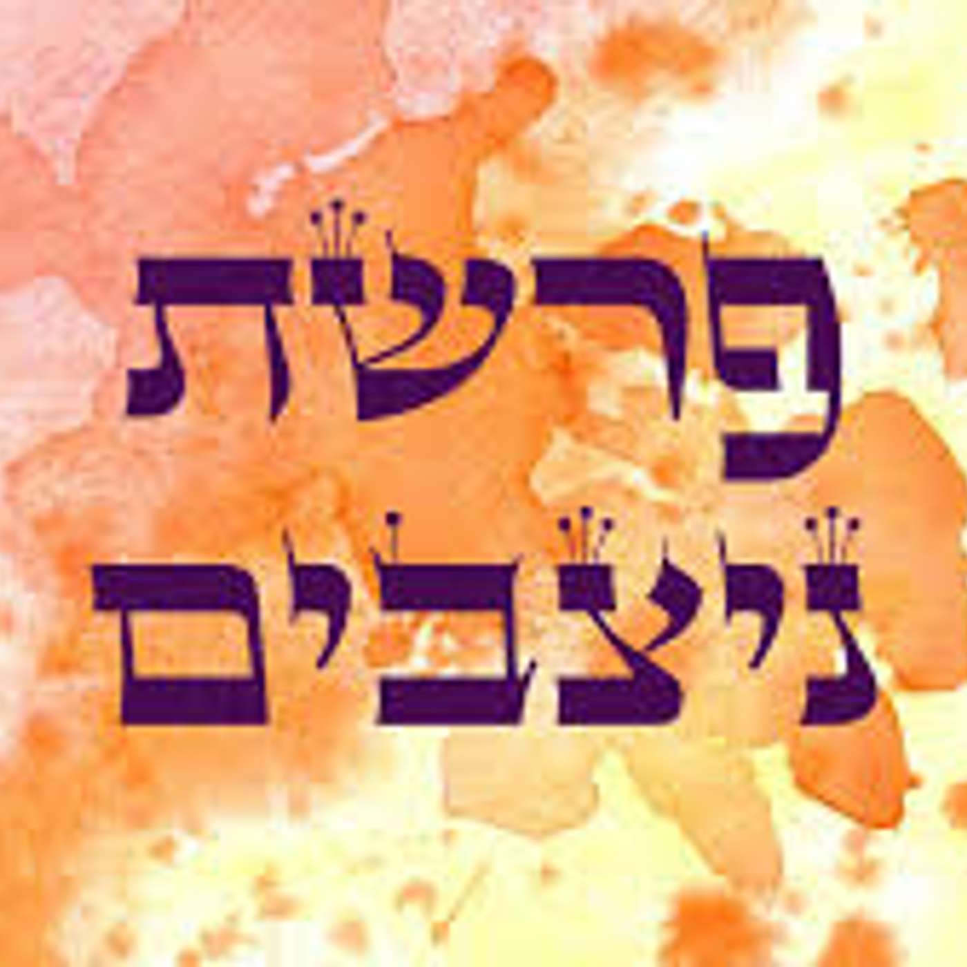 פרשת ניצבים episode artwork