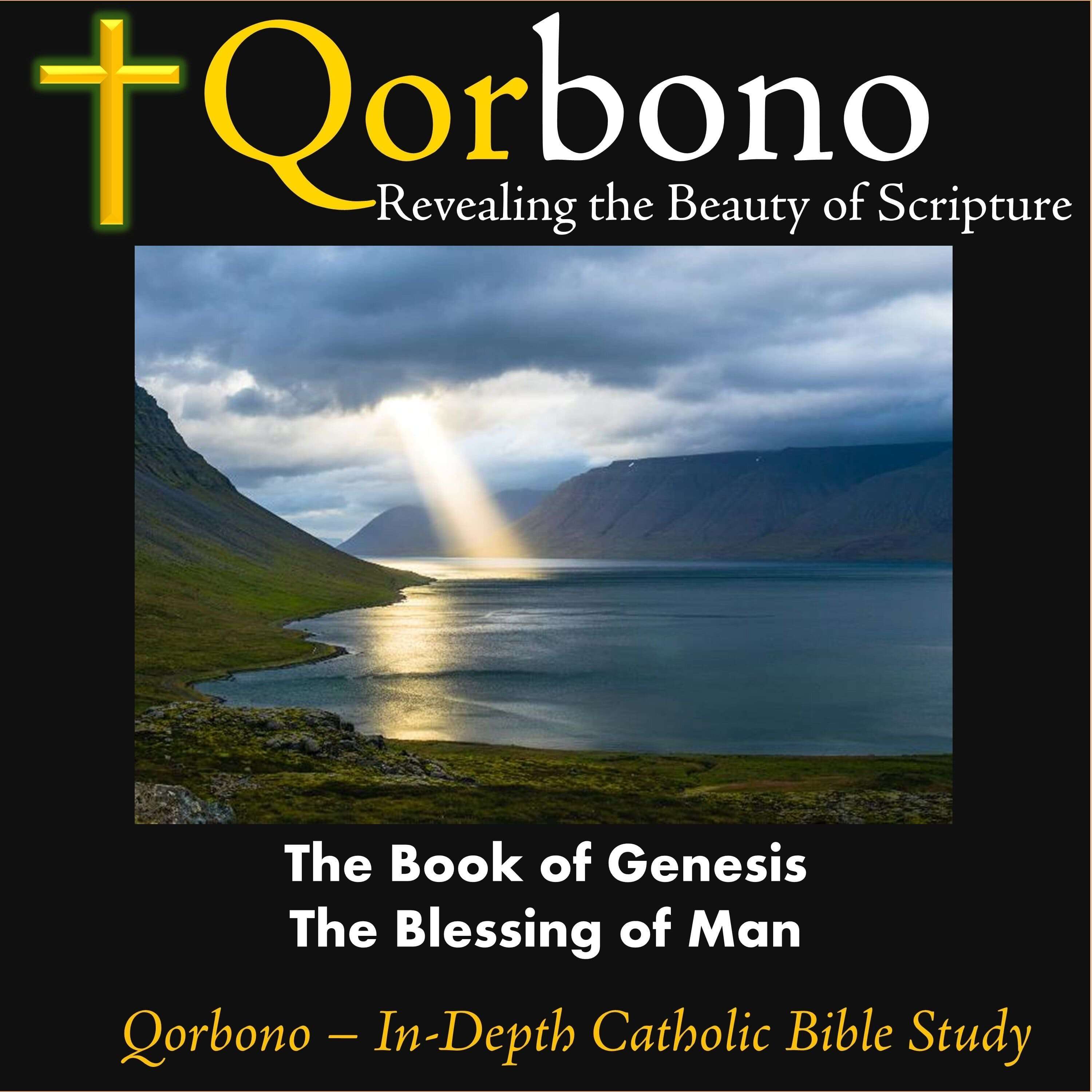 The Book of Genesis