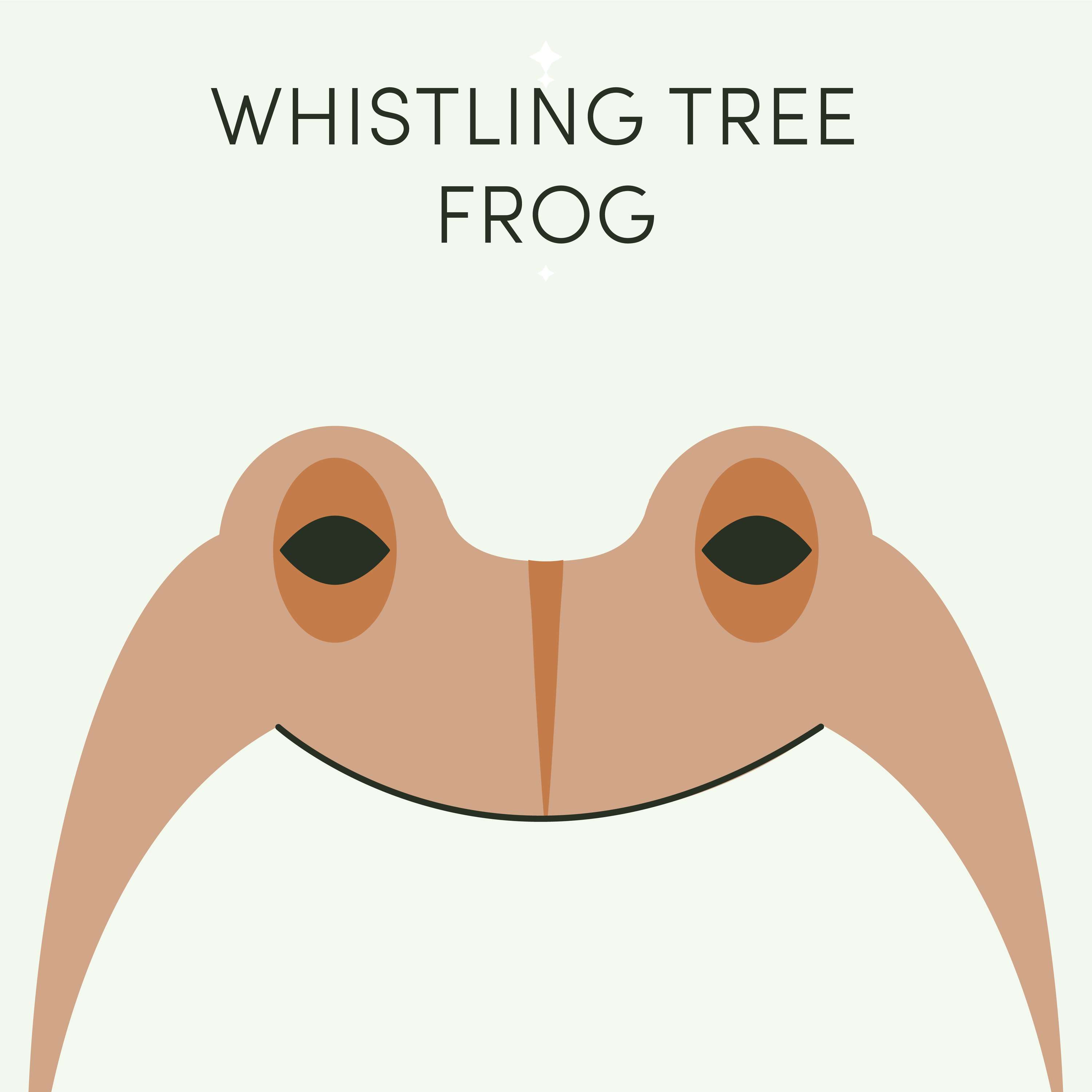 Whistling Tree Frog | Week of February 6th