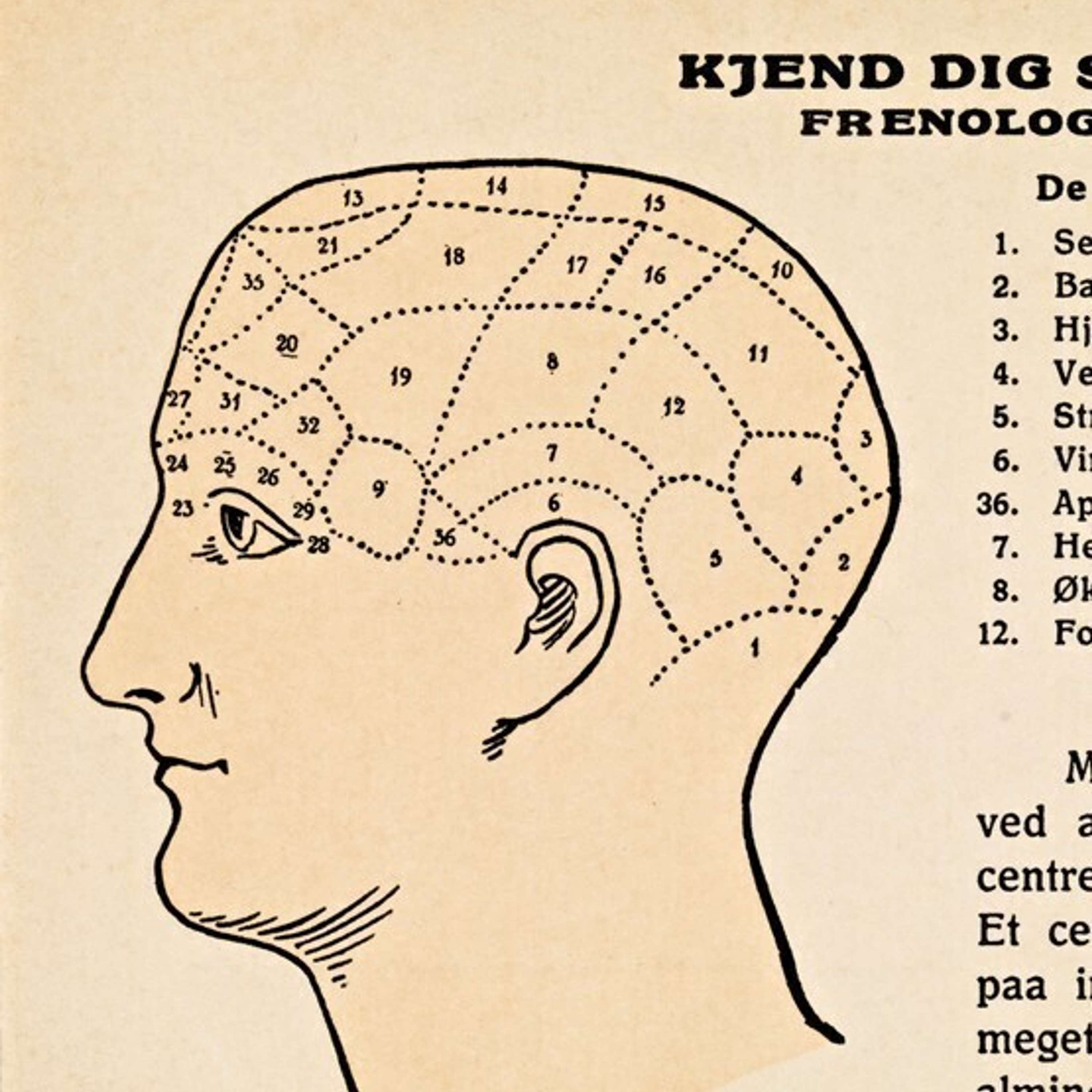 Pseudovitenskapelige Vitenselskapet