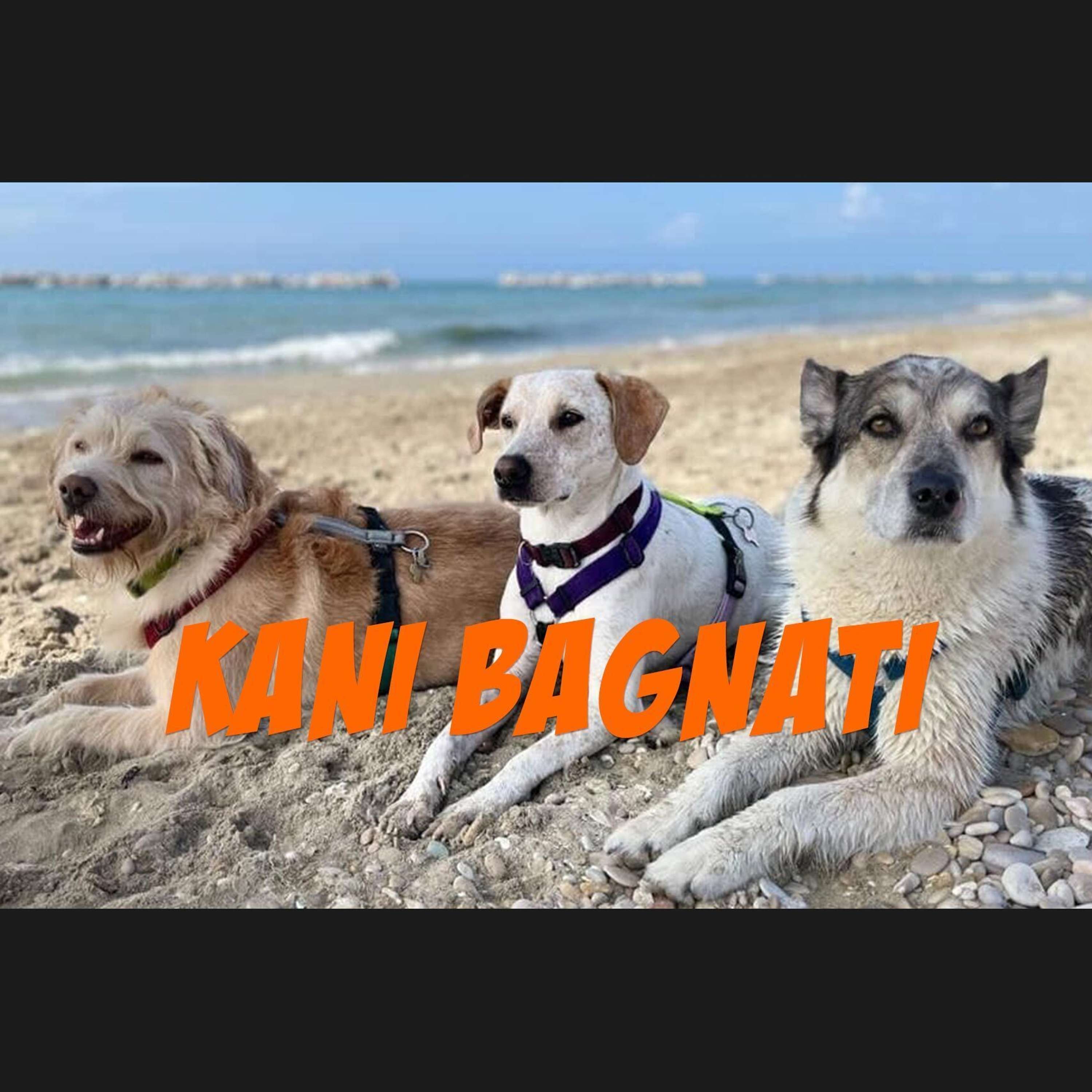 Kani Bagnati