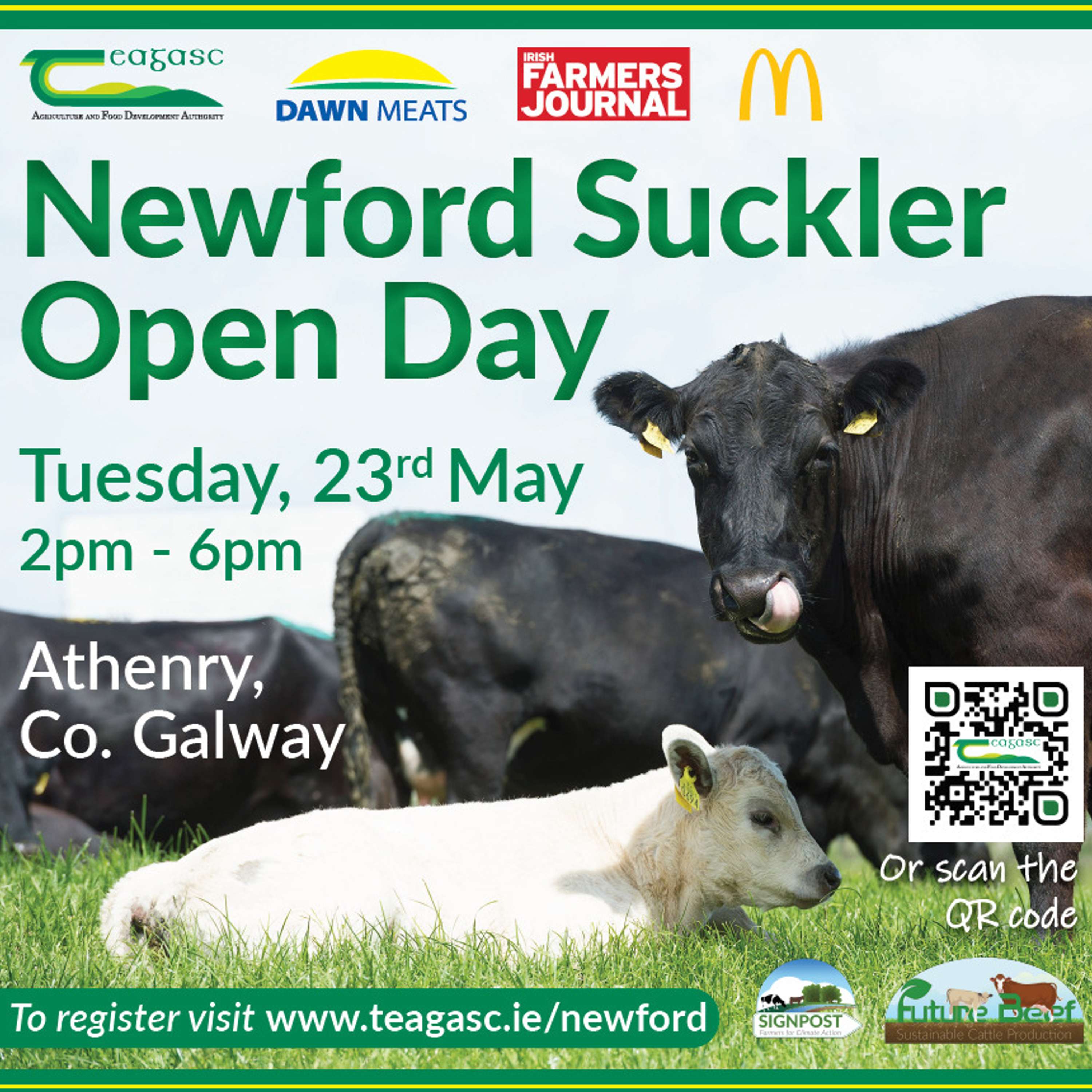 Newford Farm Update & Preview of the Open Day