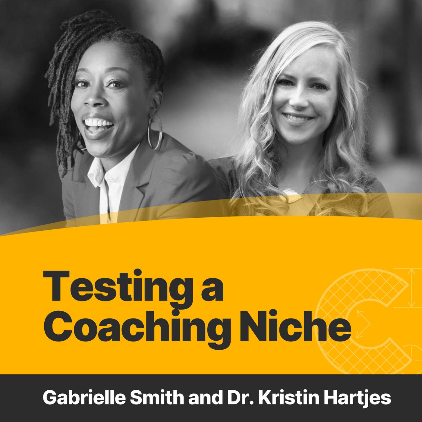 Testing a Coaching Niche
