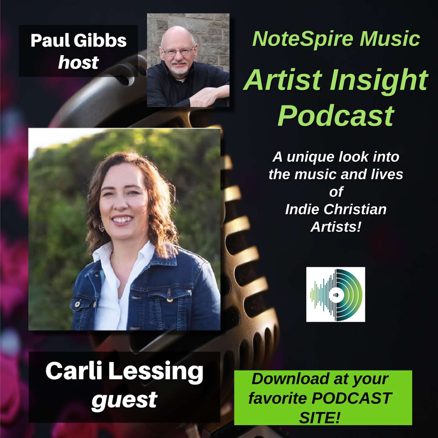 Artist Insight Podcast With Guest Carli Lessing