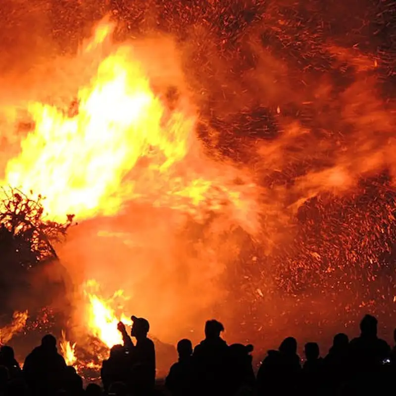 ECONOMIE - Quel sont les coûts économiques des feux de forêt au Canada?