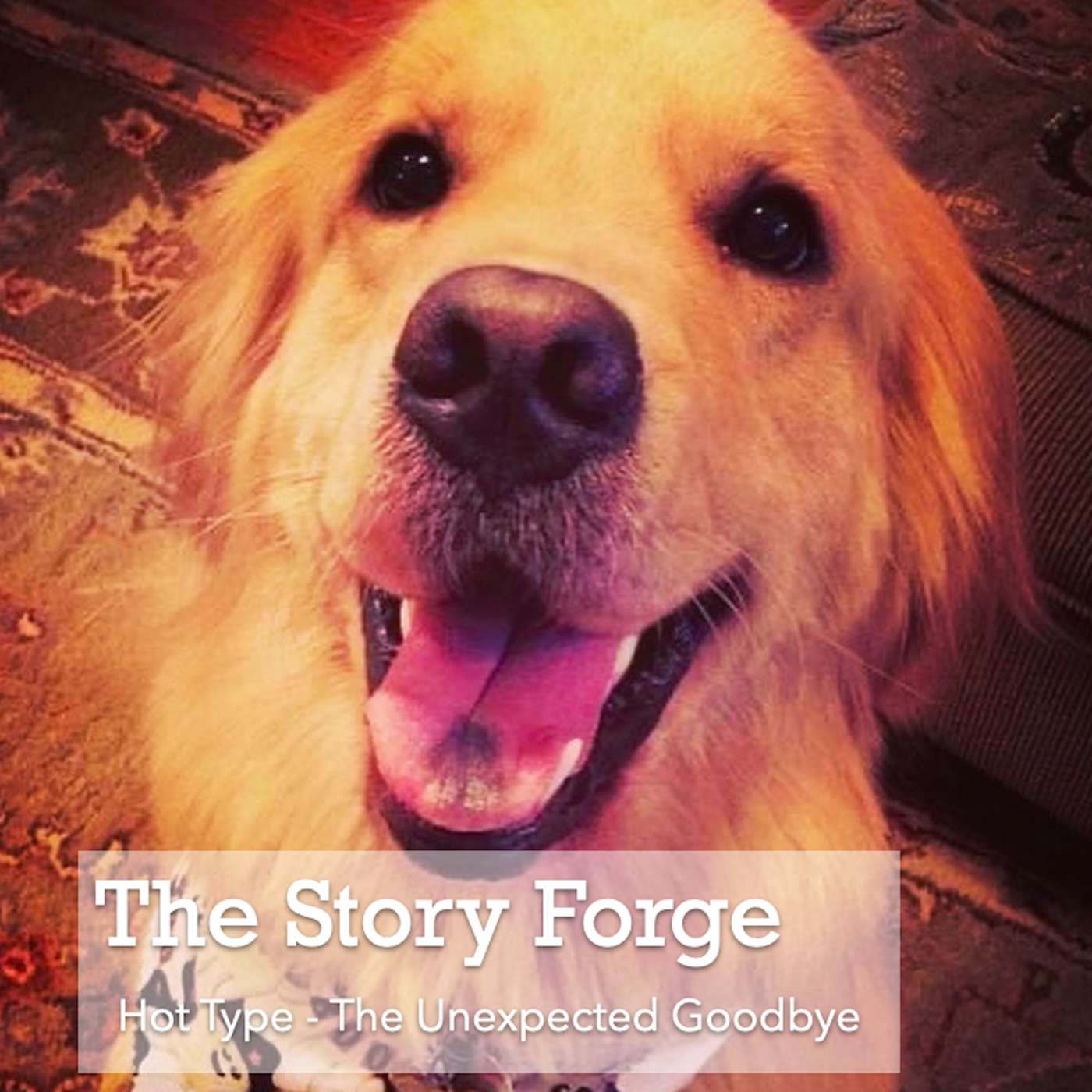 Hot Type - The Unexpected Goodbye Hot Type - The Unexpected Goodbye