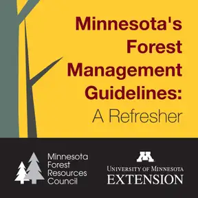 Minnesota's Forest Management Guidelines: A Refresher