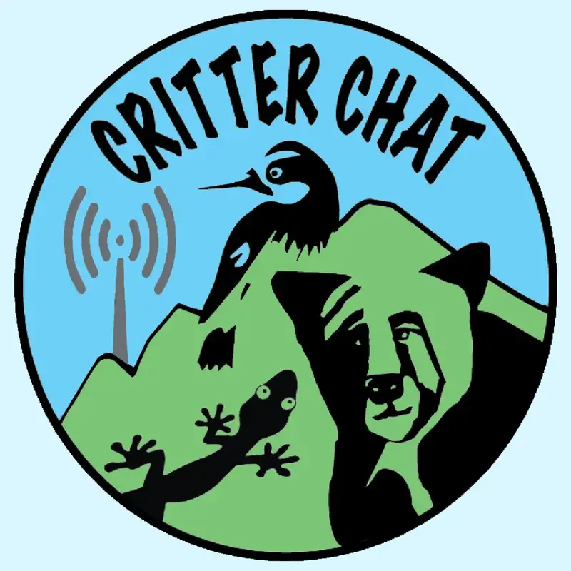 Critter Chat