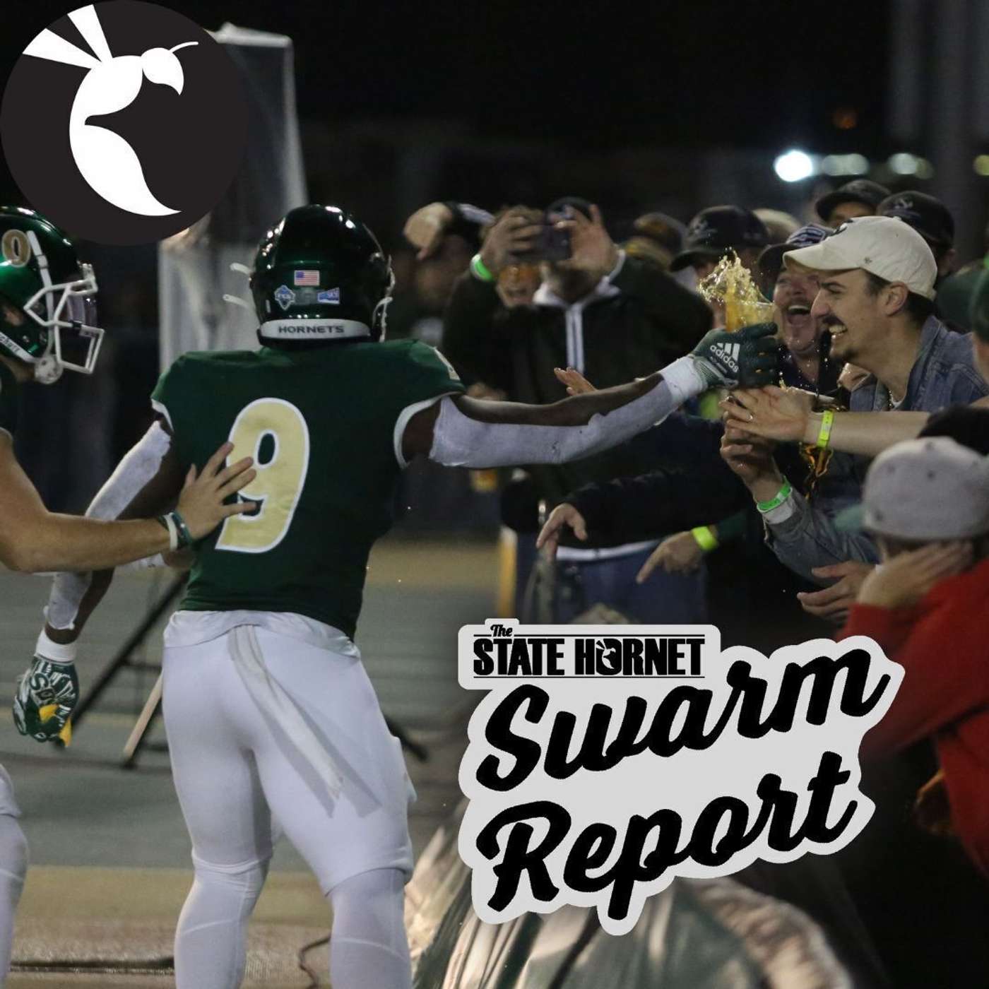 Swarm Report Week 8: Football Spring Game Preview Swarm Report Week 8: Football Spring Game Preview