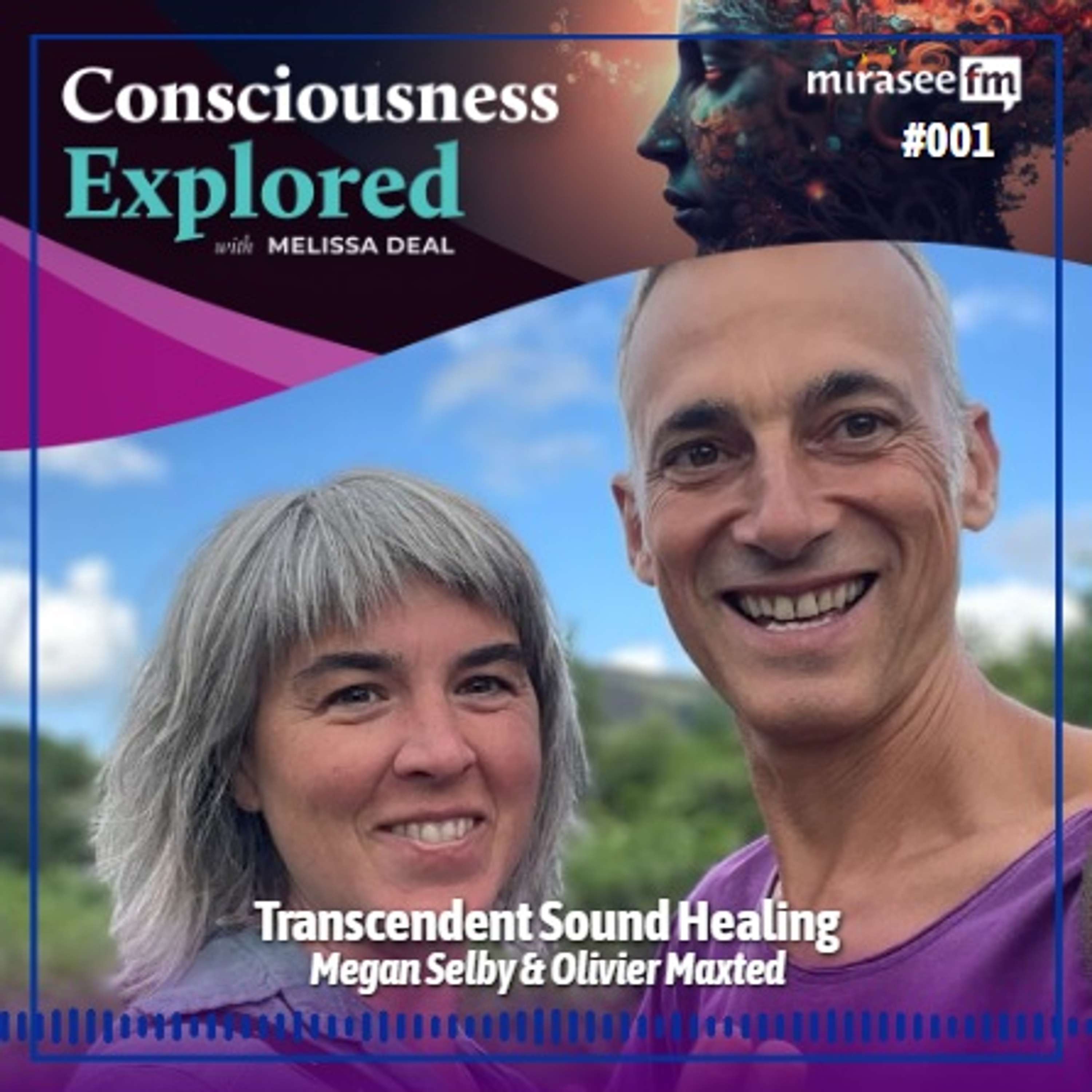 Consciousness Explored
