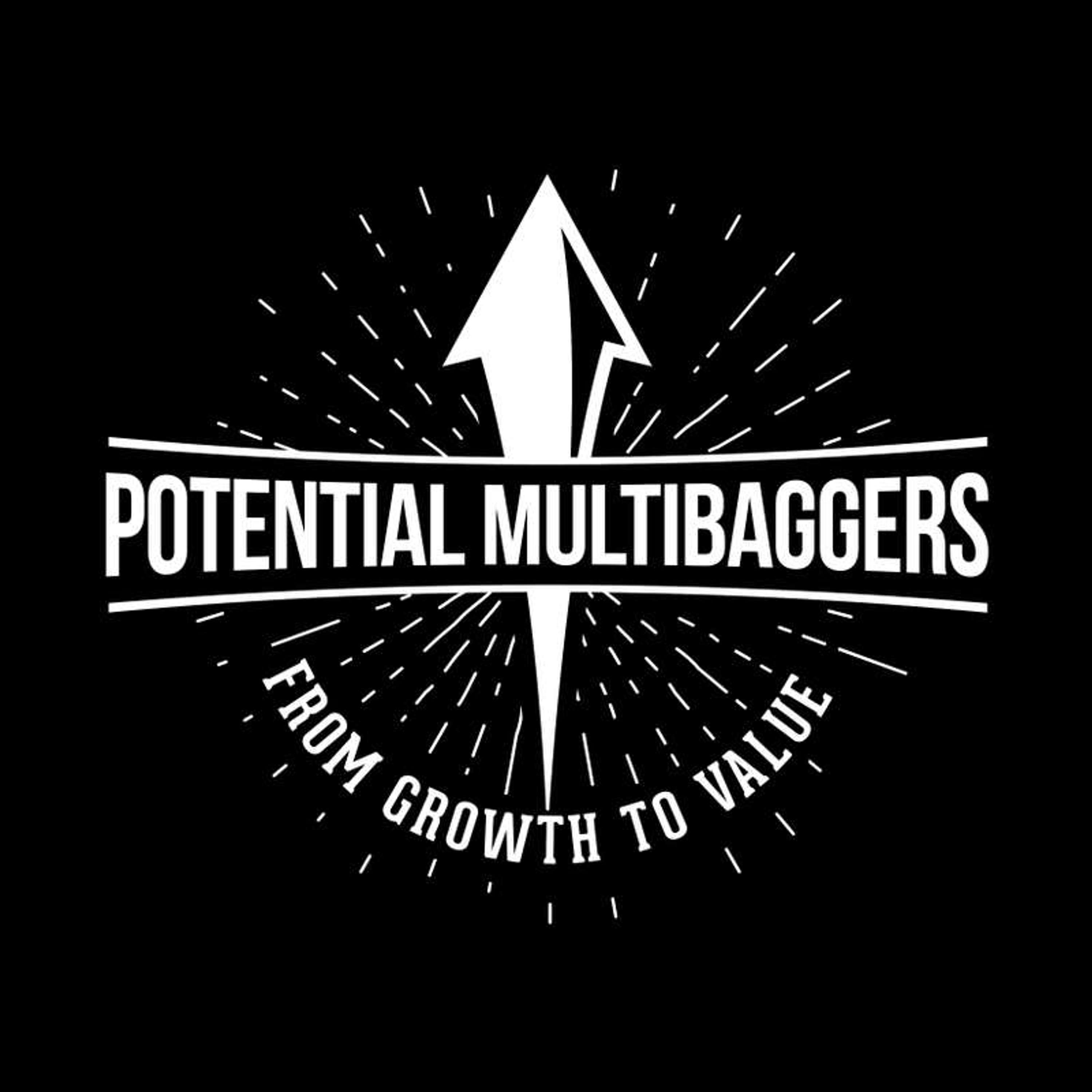 Multibagger Nuggets