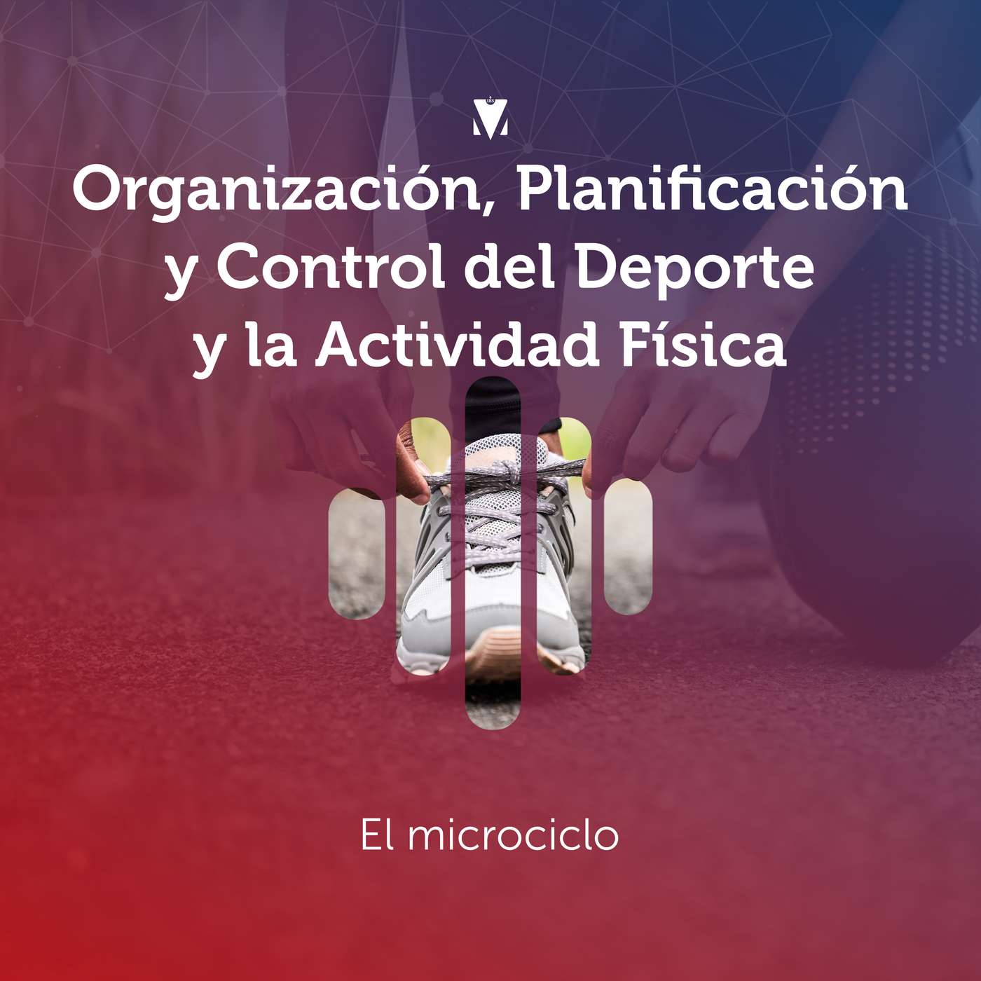 3 - ORGANIZACIÓN, PLANIFICACIÓN Y CONTROL DEL DEPORTE Y LA ACTIVIDAD FÍSICA: El microciclo