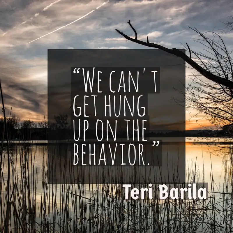Building adult skills to support trauma-impacted youth with Teri Barila Transformative Principal 178