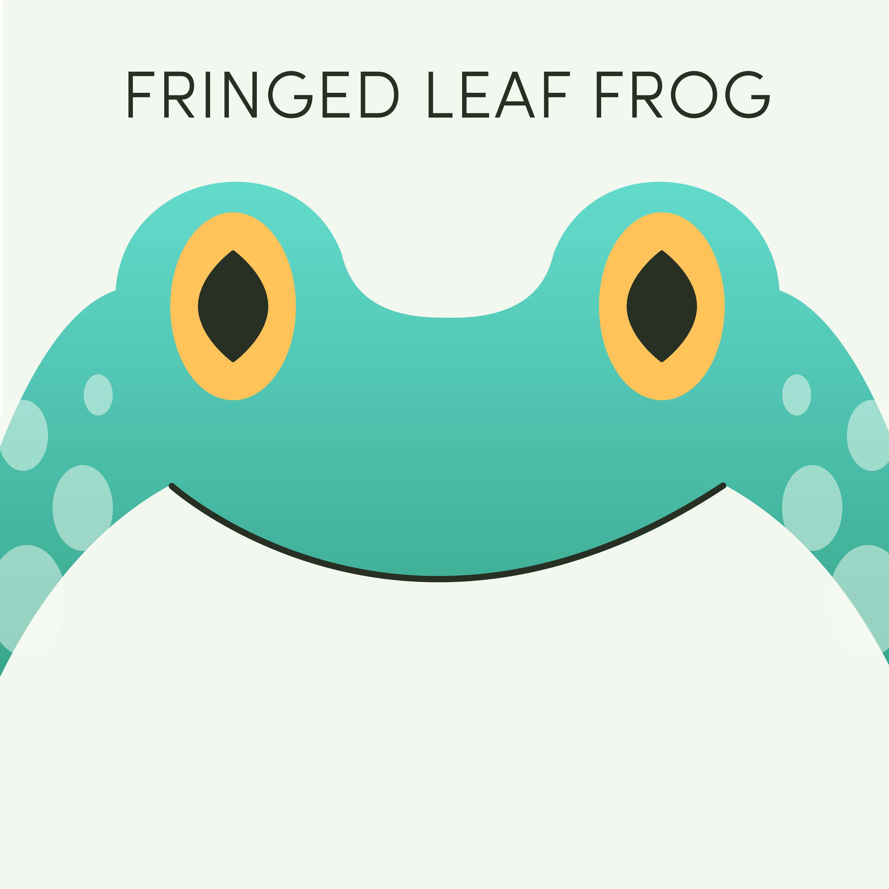 Fringed Leaf Frog | Week of November 14th