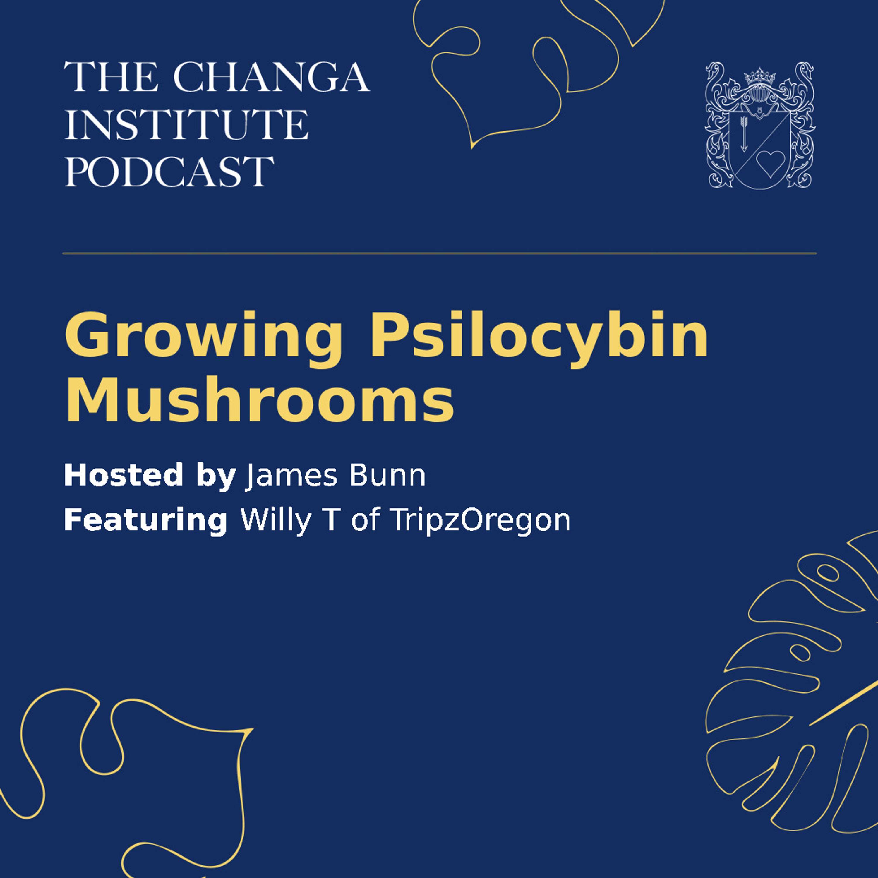 #2 - Growing Psilocybin Mushrooms with Willy T