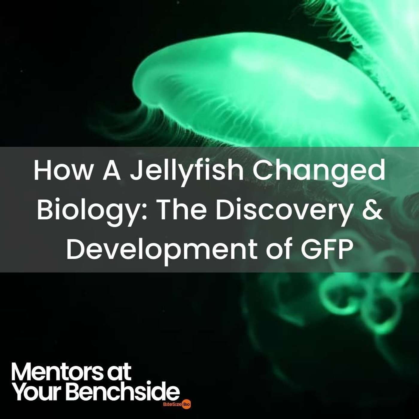 How a Jellyfish Changed Biology: the Discovery and Development of GFP episode artwork