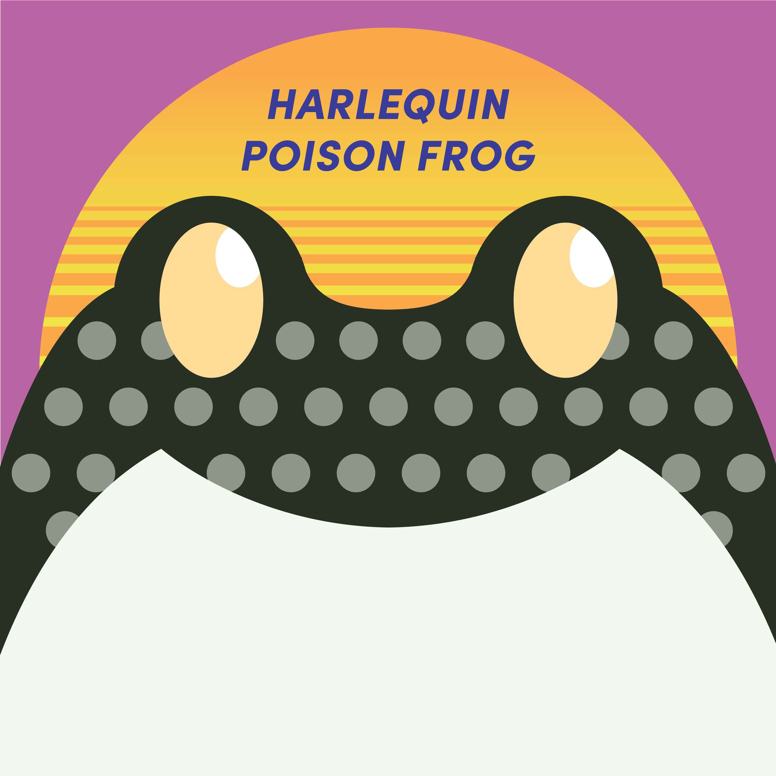 Harlequin Poison Frog | Week of Dartch 6th