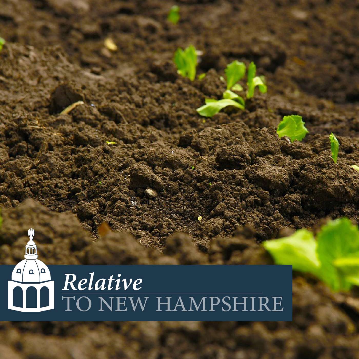 Maintaining Healthy Soil in the Granite State