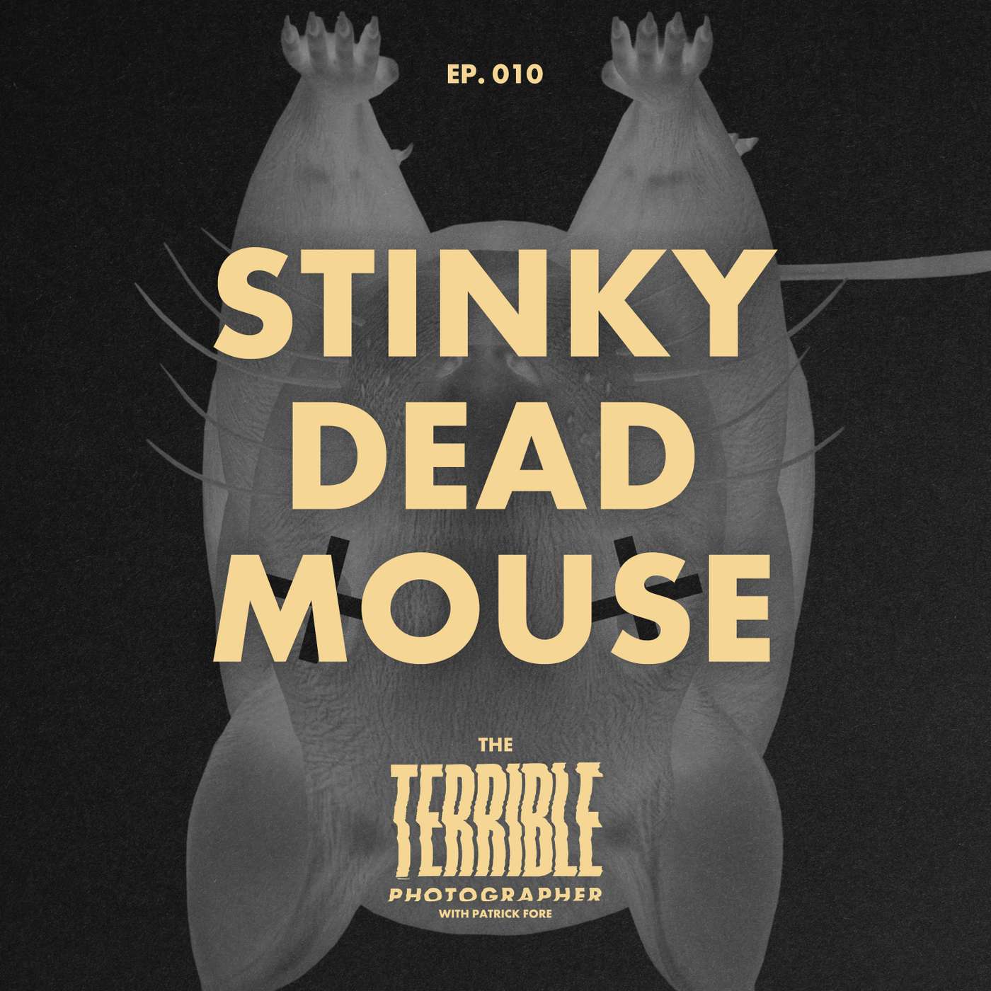 Stinky Dead Mouse - Why most portfolios all look the same, and how to stop being everyone else.