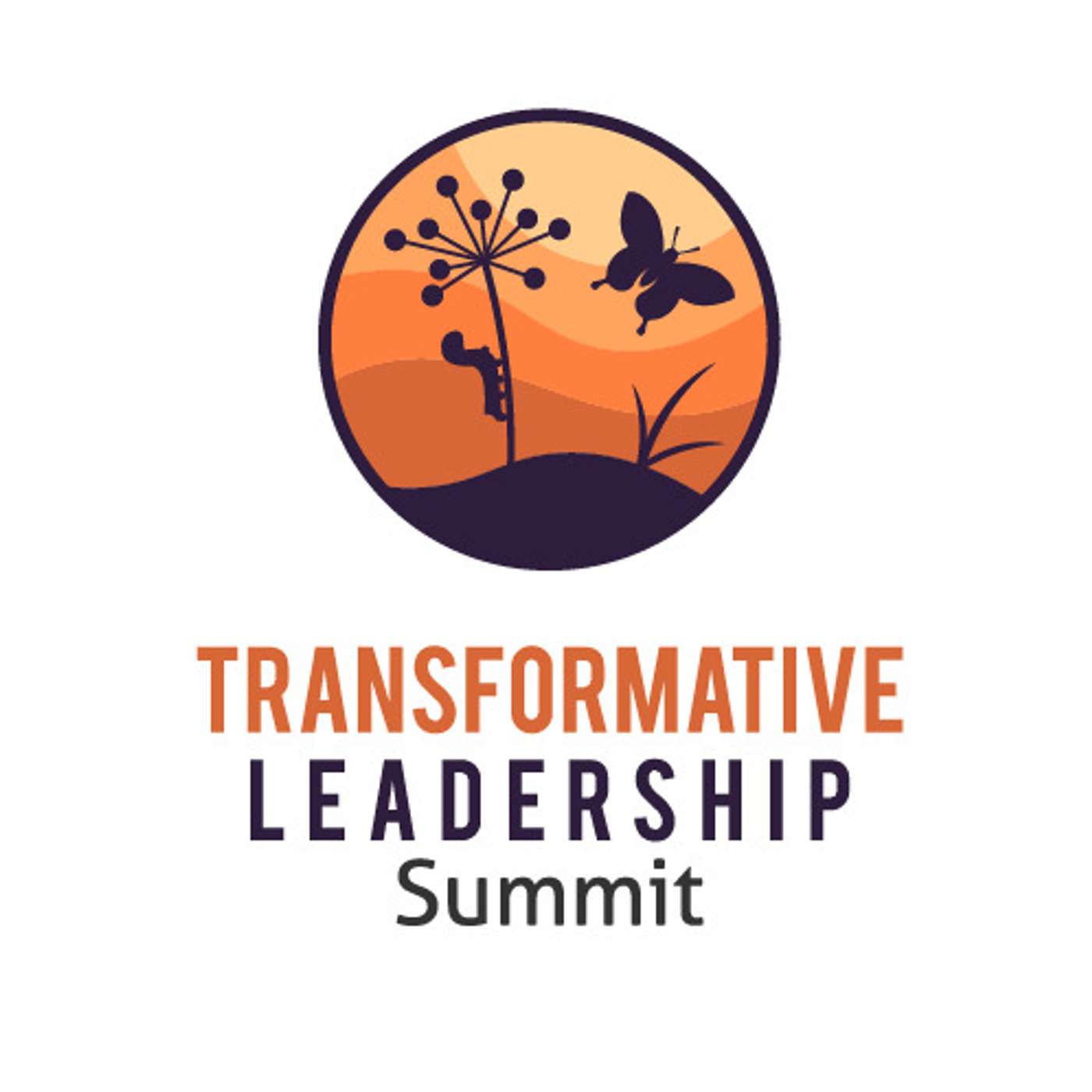 Transformative Principal