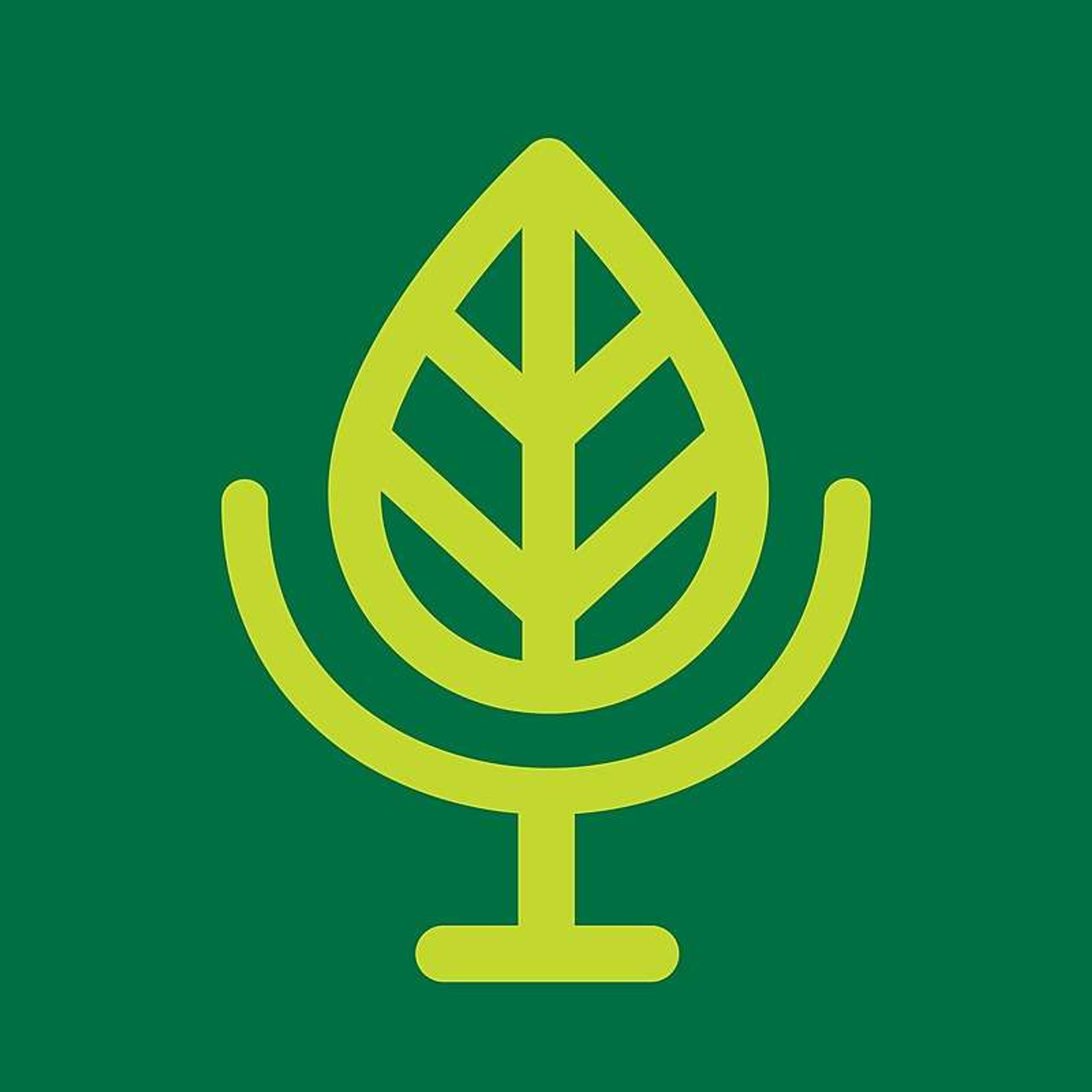 Terra Informa
