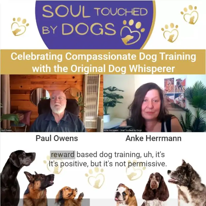 Paul Owens - Celebrating Compassionate Dog Training with the Original Dog Whisperer