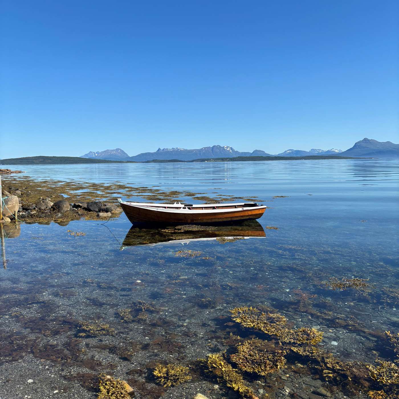 Er fuglene og naturen i ferd med å stilne? Samtale om naturtap og naturendringer Er fuglene og naturen i ferd med å stilne? Samtale om naturtap og naturendringer