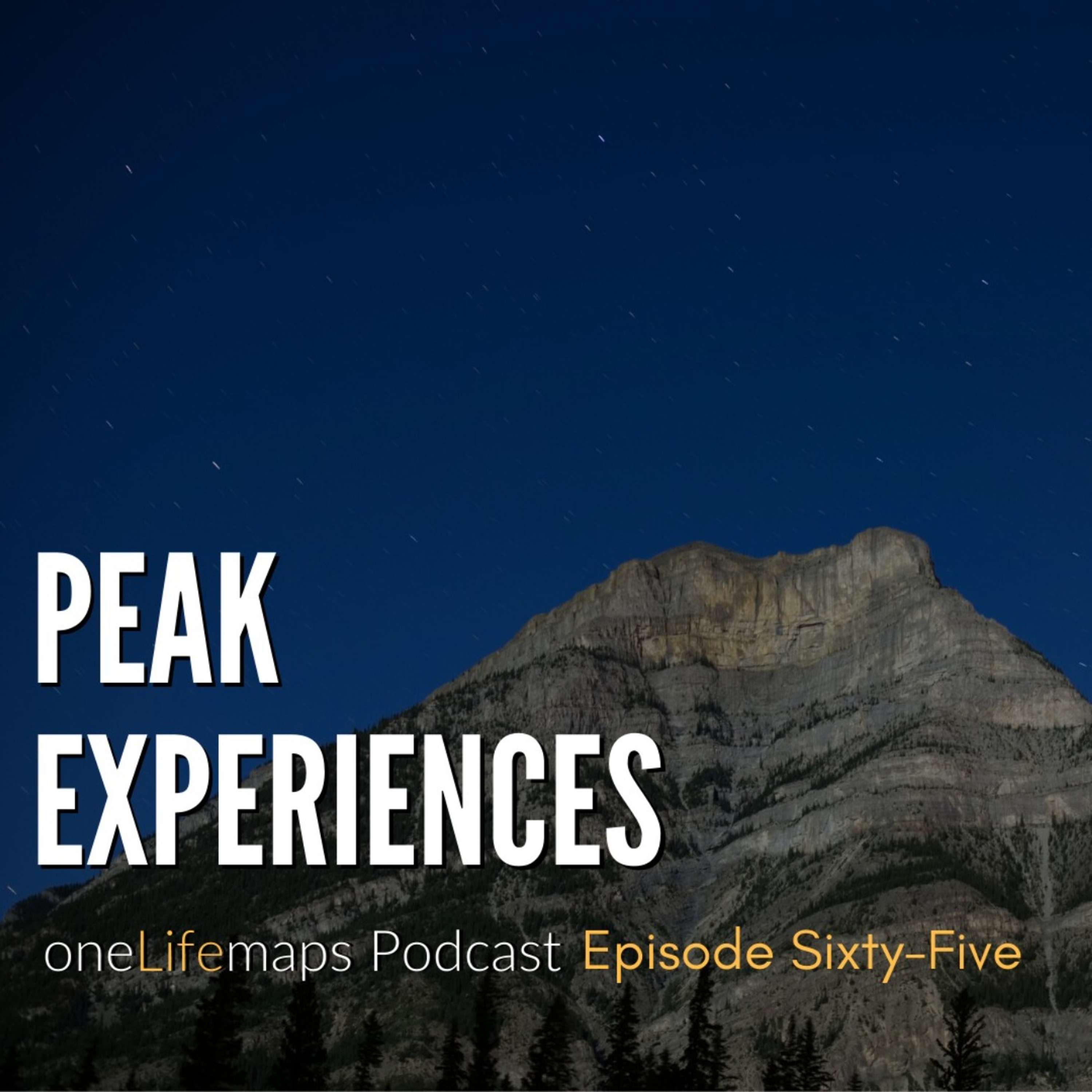 the REALIFE Practice Podcast