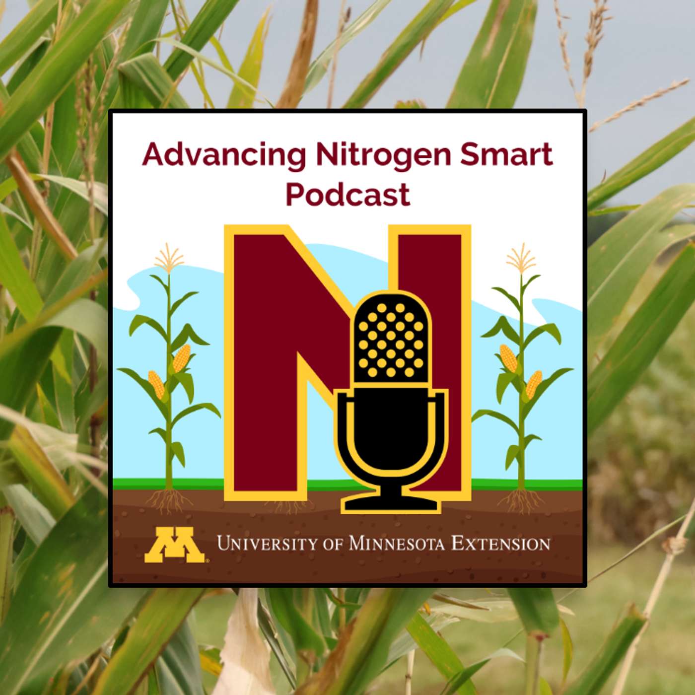 An introduction to MRTN: Efficiencies & economics in mind