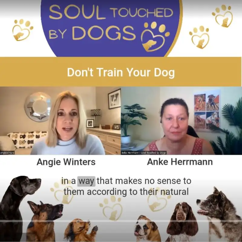 Angie Winters - Don't Train Your Dog