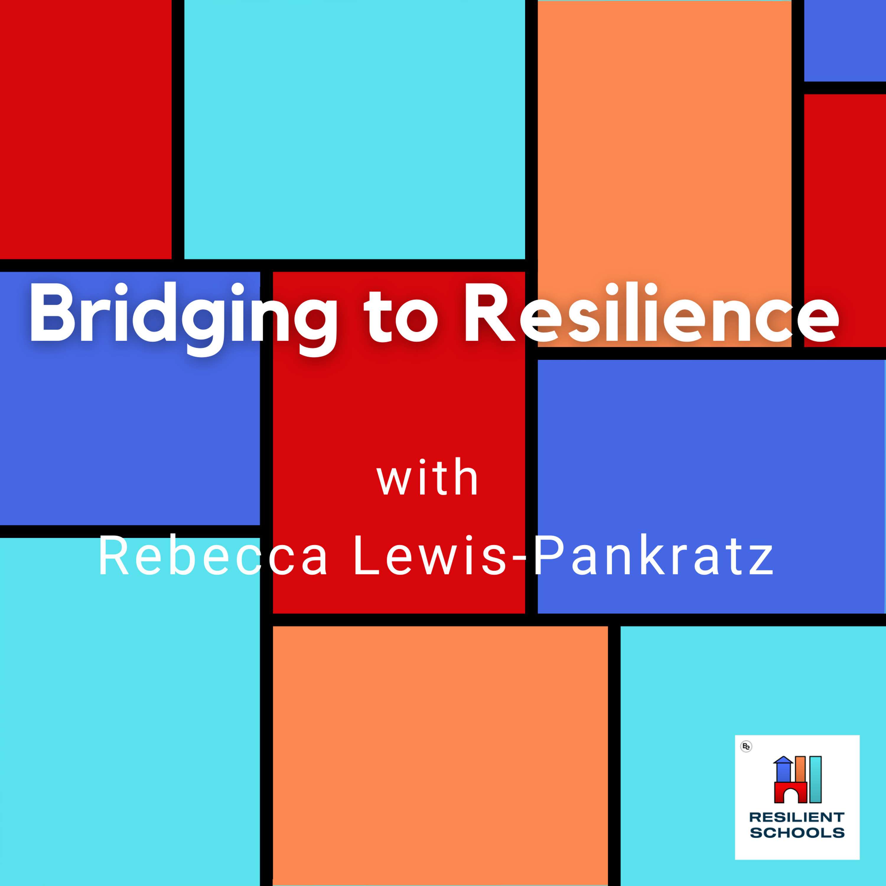 Resilient Schools