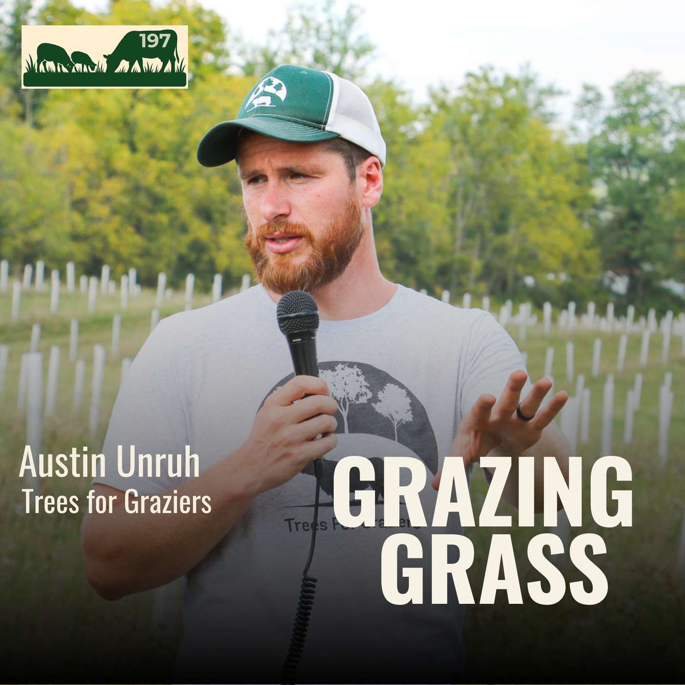 197. Silvopasture in the Real World with Austin Unruh 197. Silvopasture in the Real World with Austin Unruh