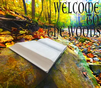 Welcome to the Woods