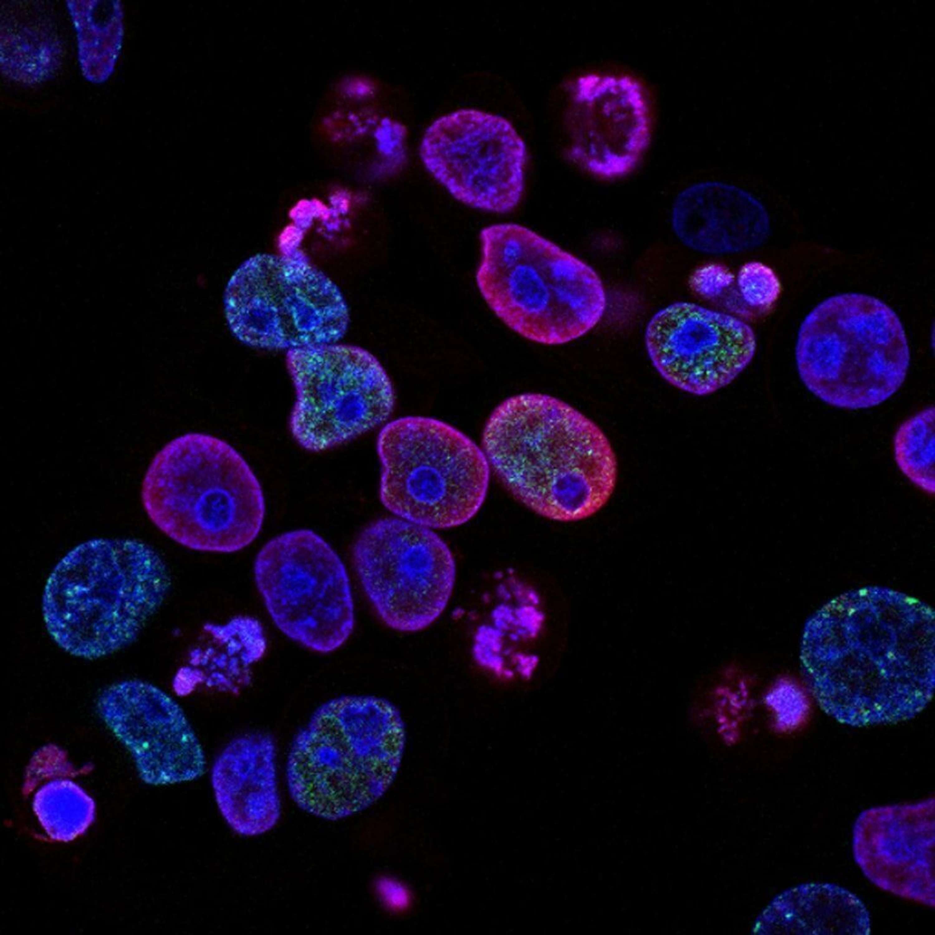 Scientific Boom: 5 Innovative Biotech Startups That Will Change Our Everyday Life